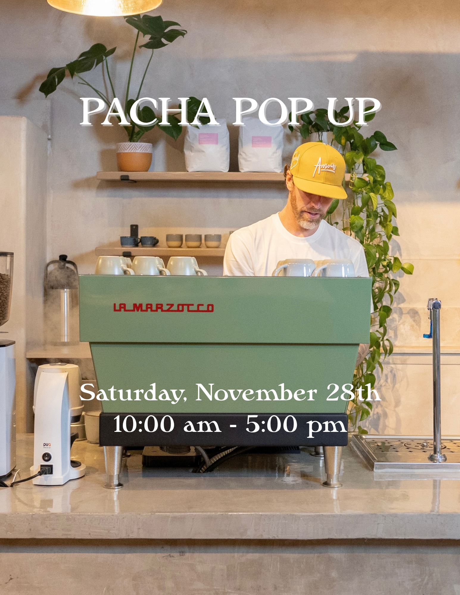 Tree Lighting + PACHA POP UP