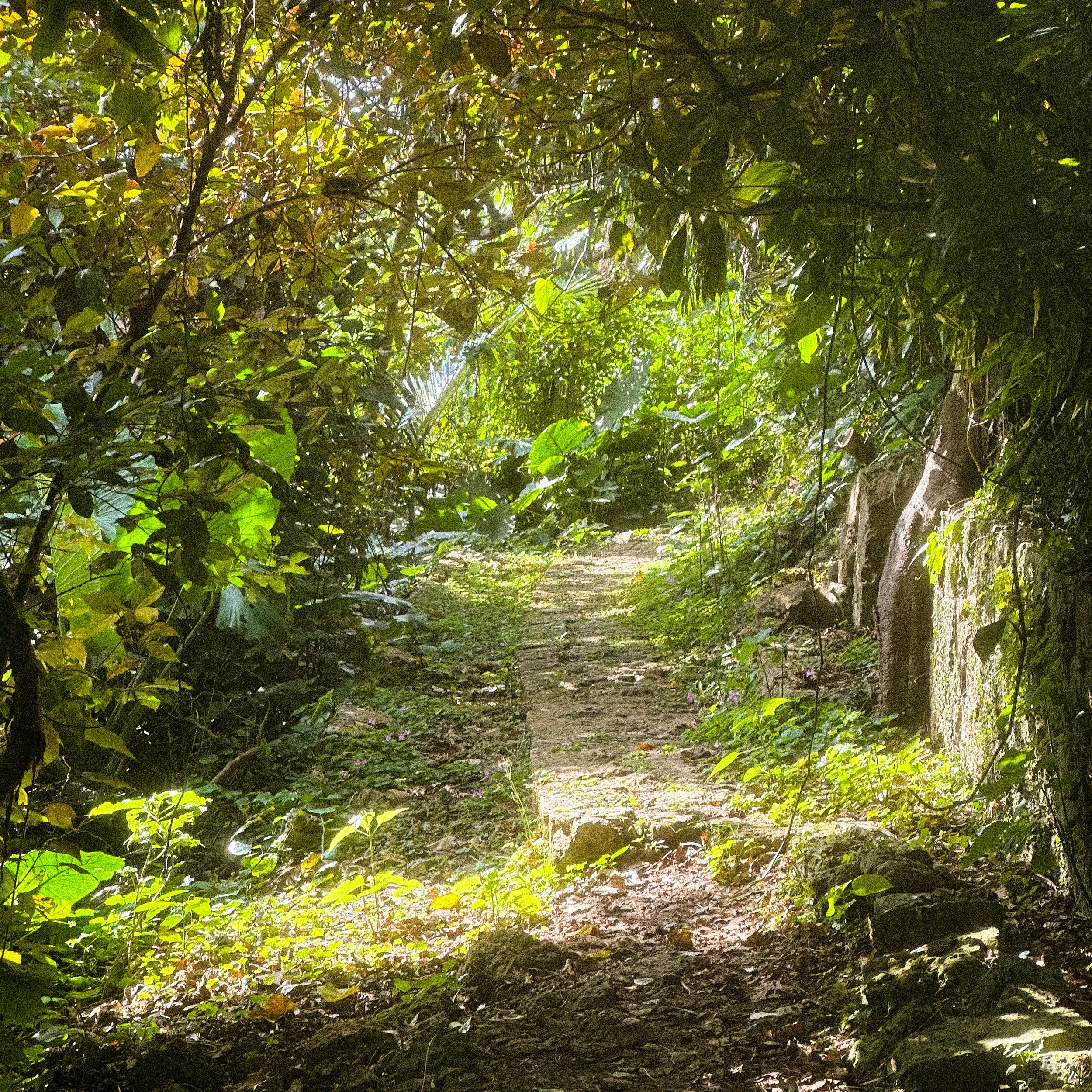 FullSizeRender 5.JPG