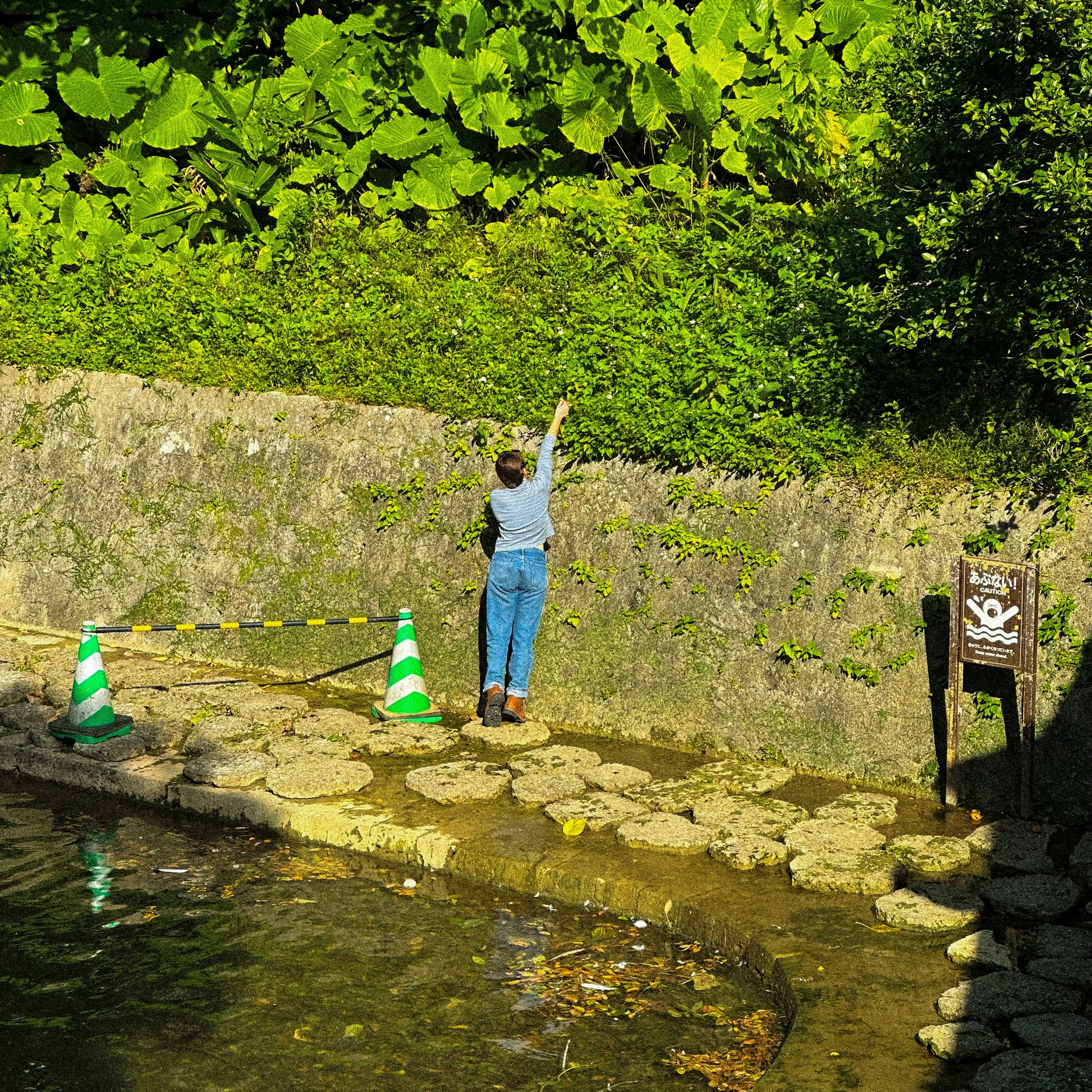 FullSizeRender 15.JPG