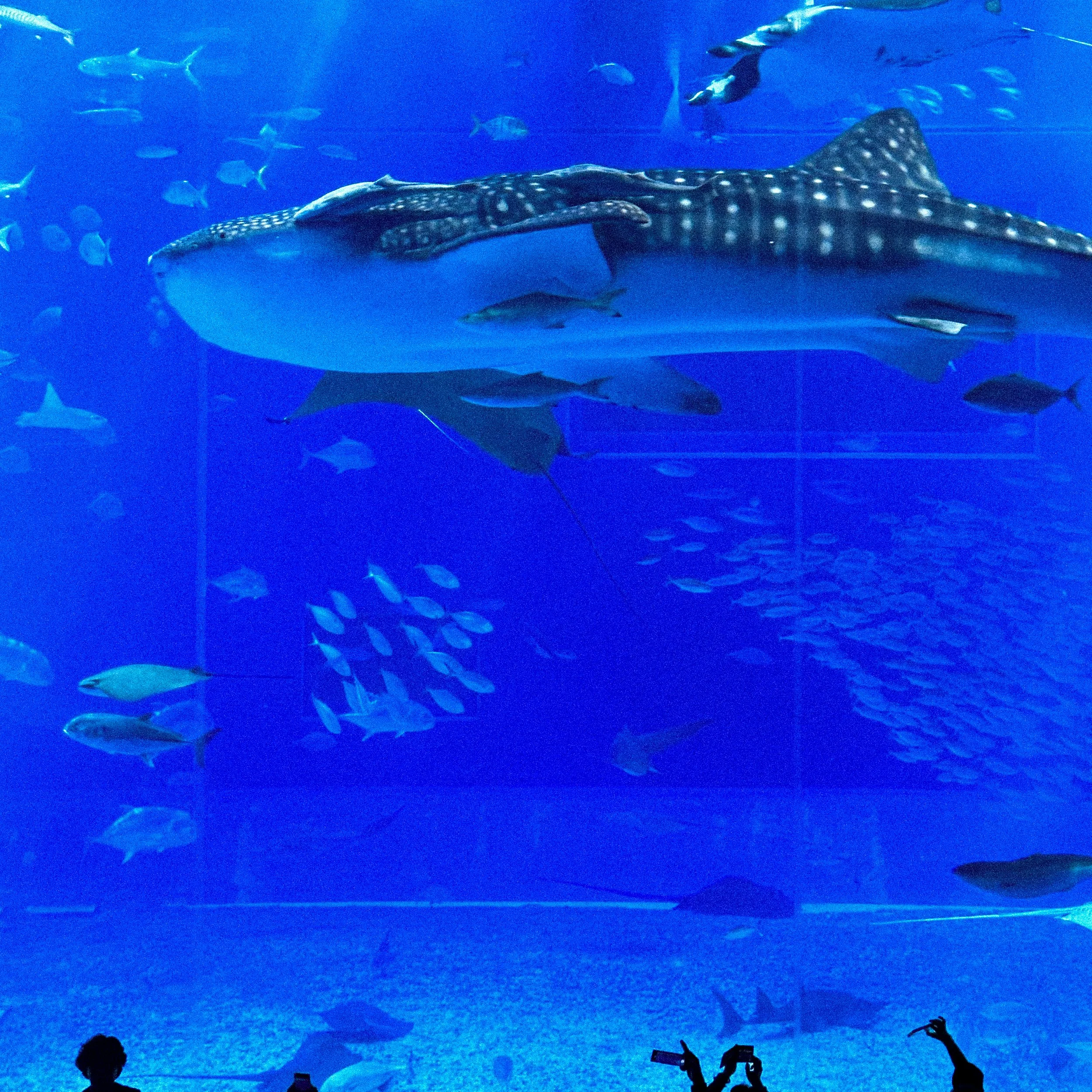 FullSizeRender 9.JPG