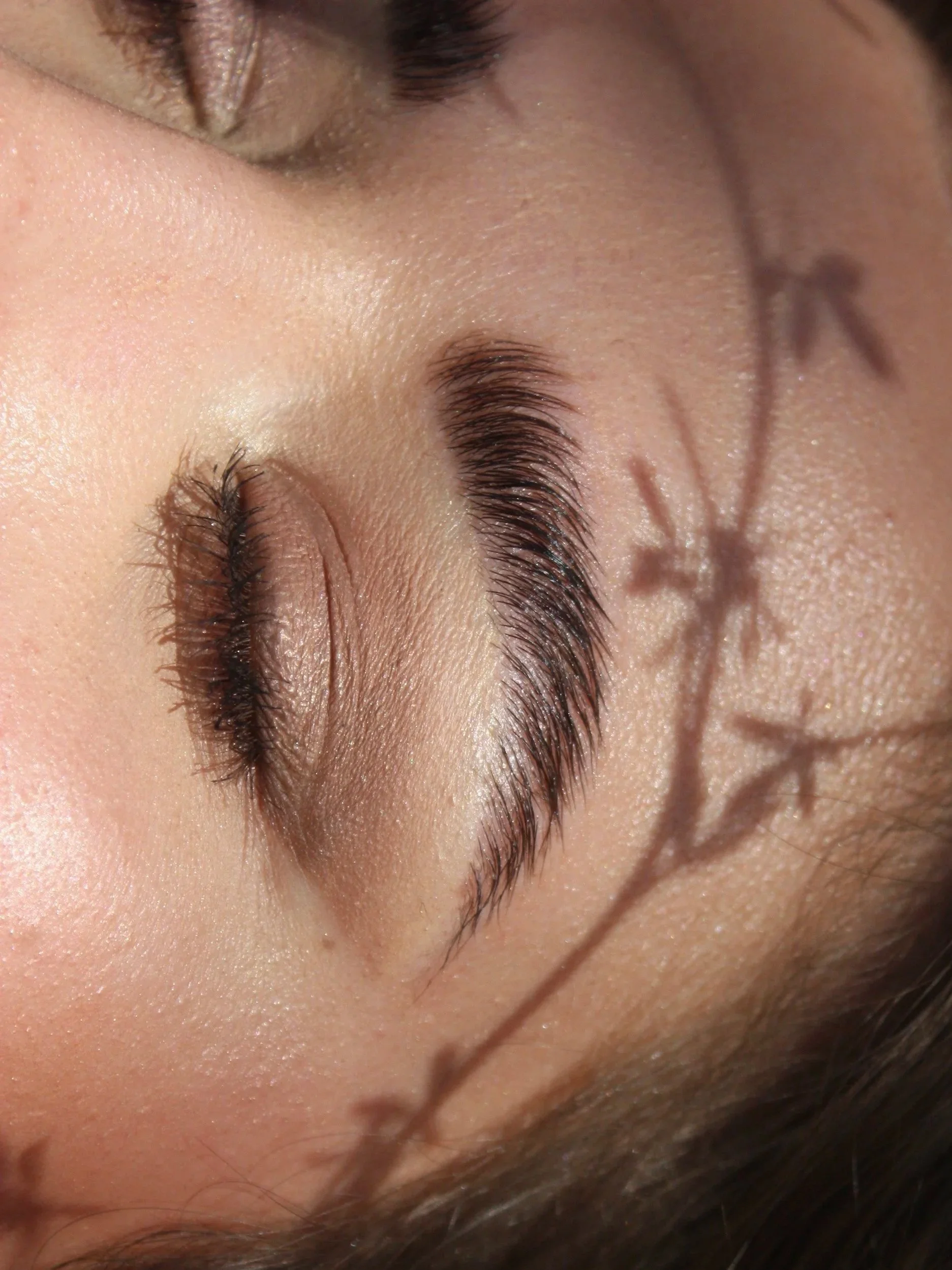 Calgary Best Brows Dayna wolfe Waxing Tinting Lamination west Hillhurst Kensington beauty