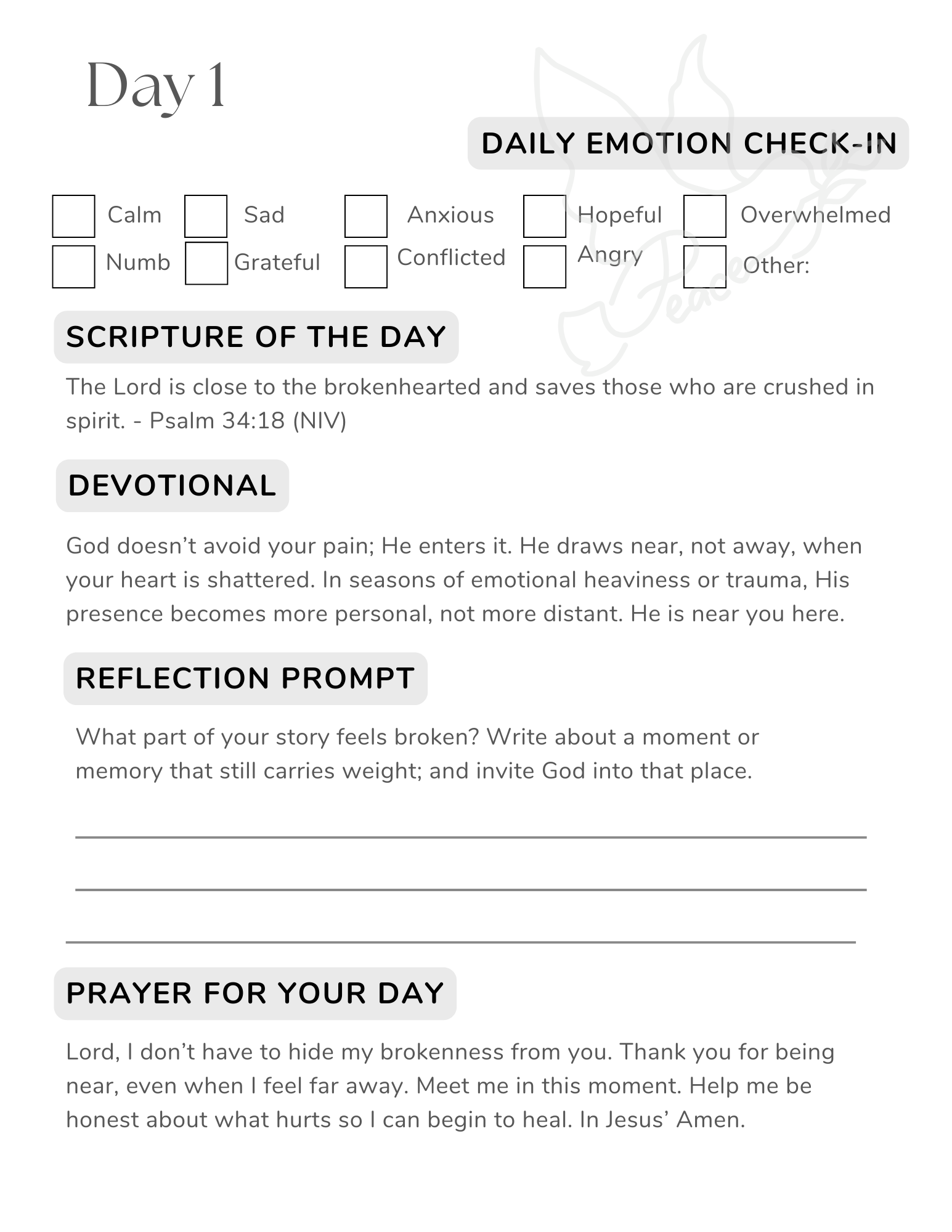 From Triggered to Transformed A 30 Day Guided Healing Journal.png