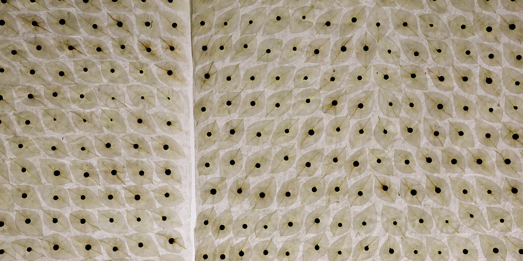 15.Q0A0666_1800x900.jpg