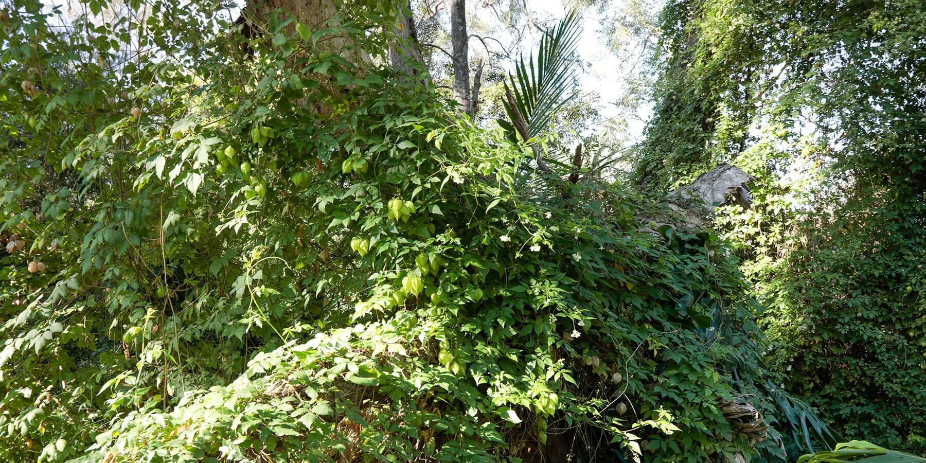 15big_Q0A0461_1800x900.tinyjpg.jpg