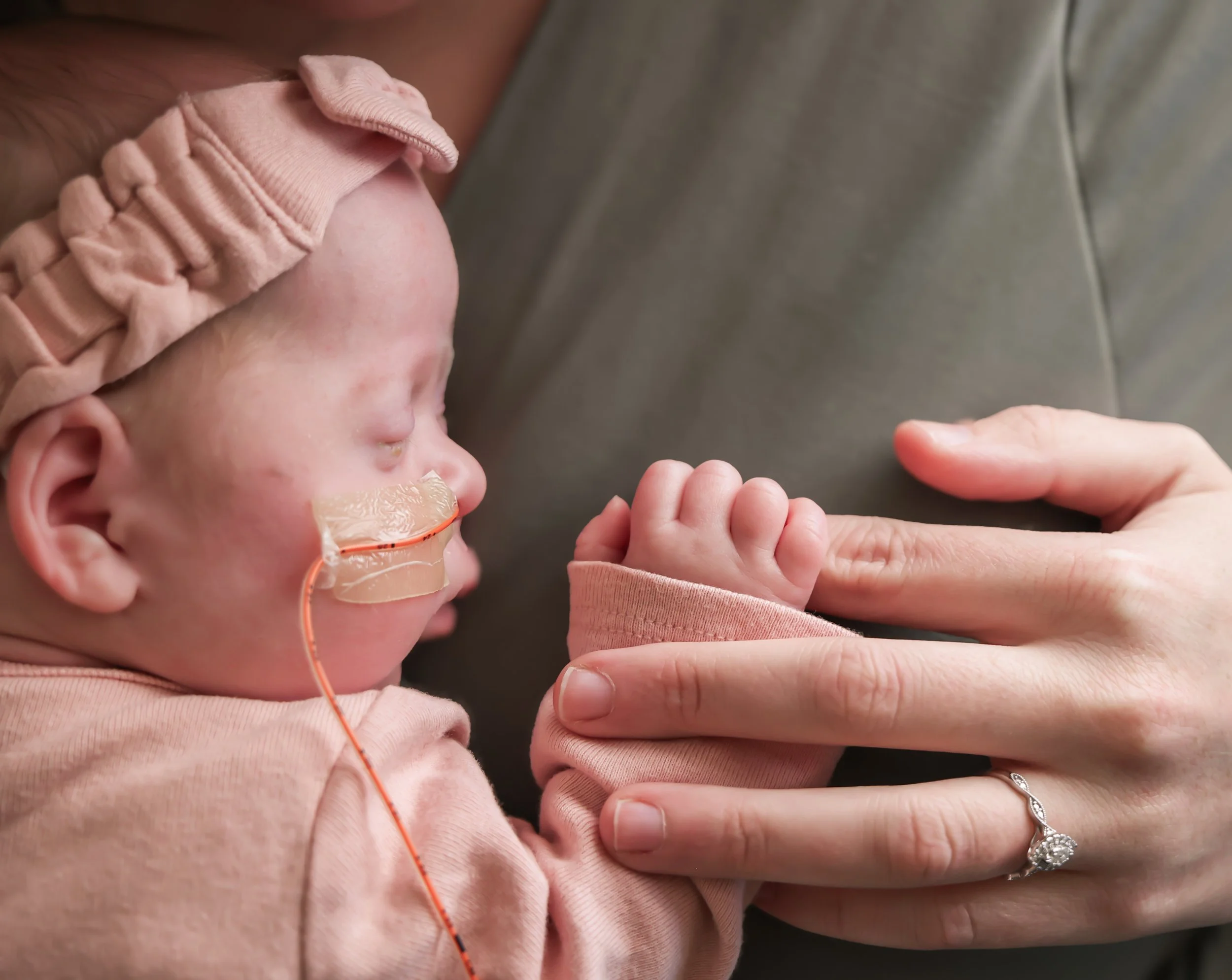 Baby Hare Twins C (1 of 3).jpg