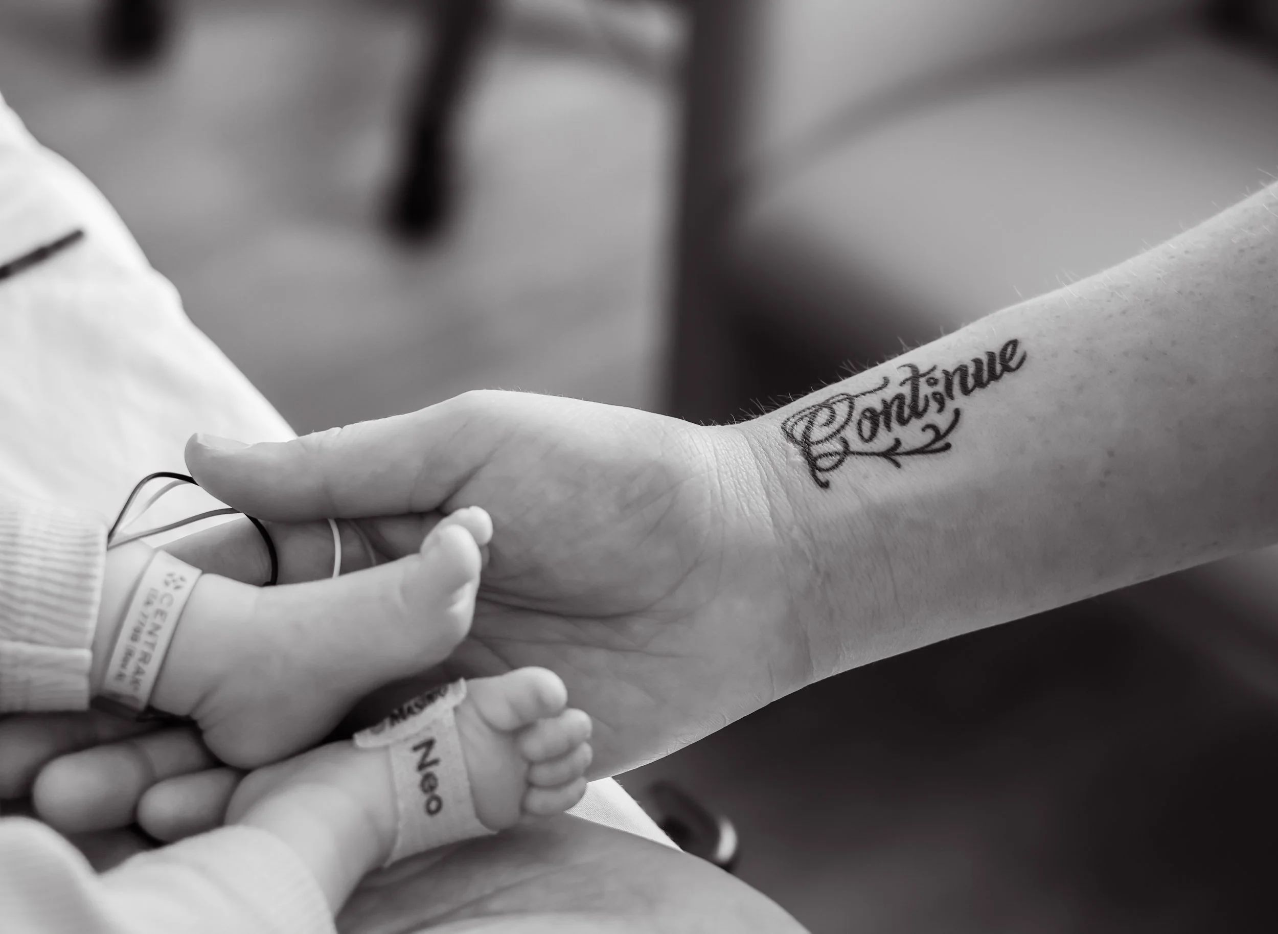 Baby Hare Twins C (6 of 8).jpg