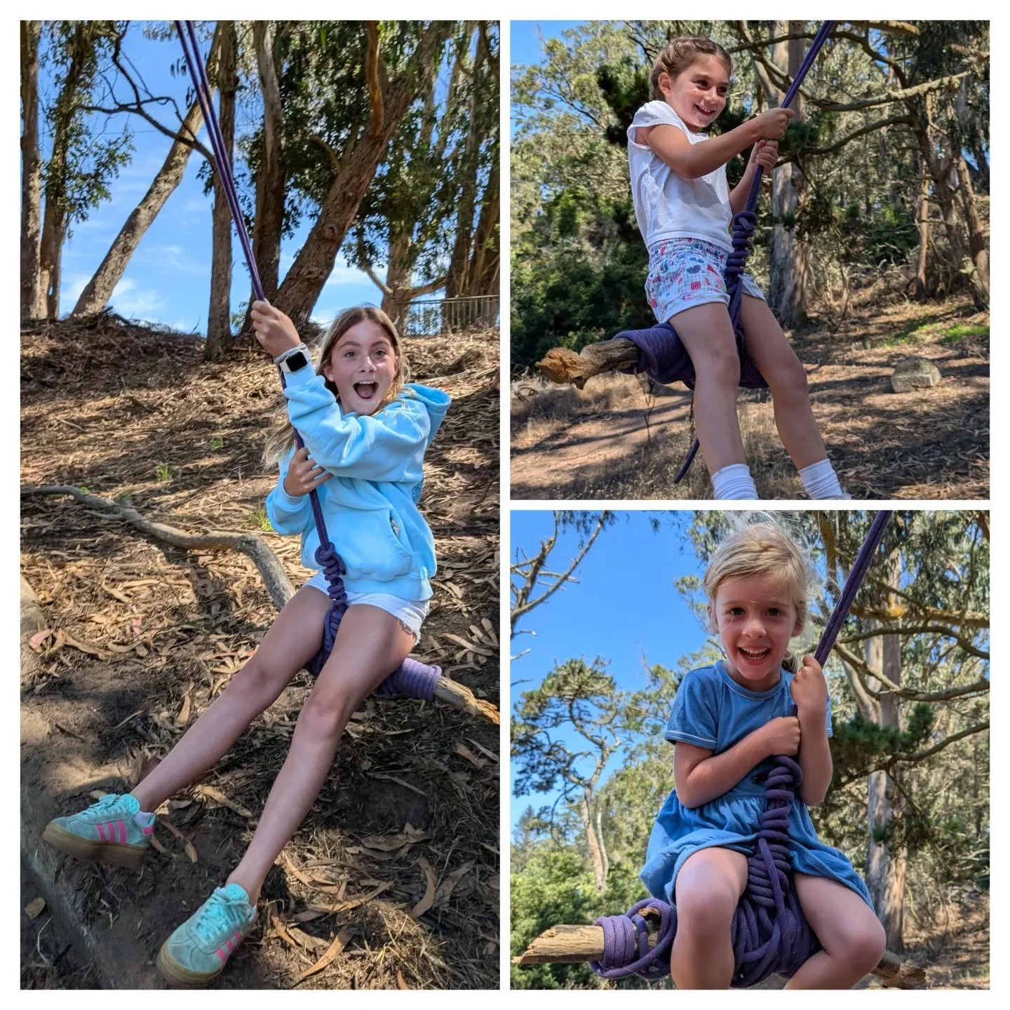 Week 11 means we're near the end, better to spend it with a friend! 🌞🌞