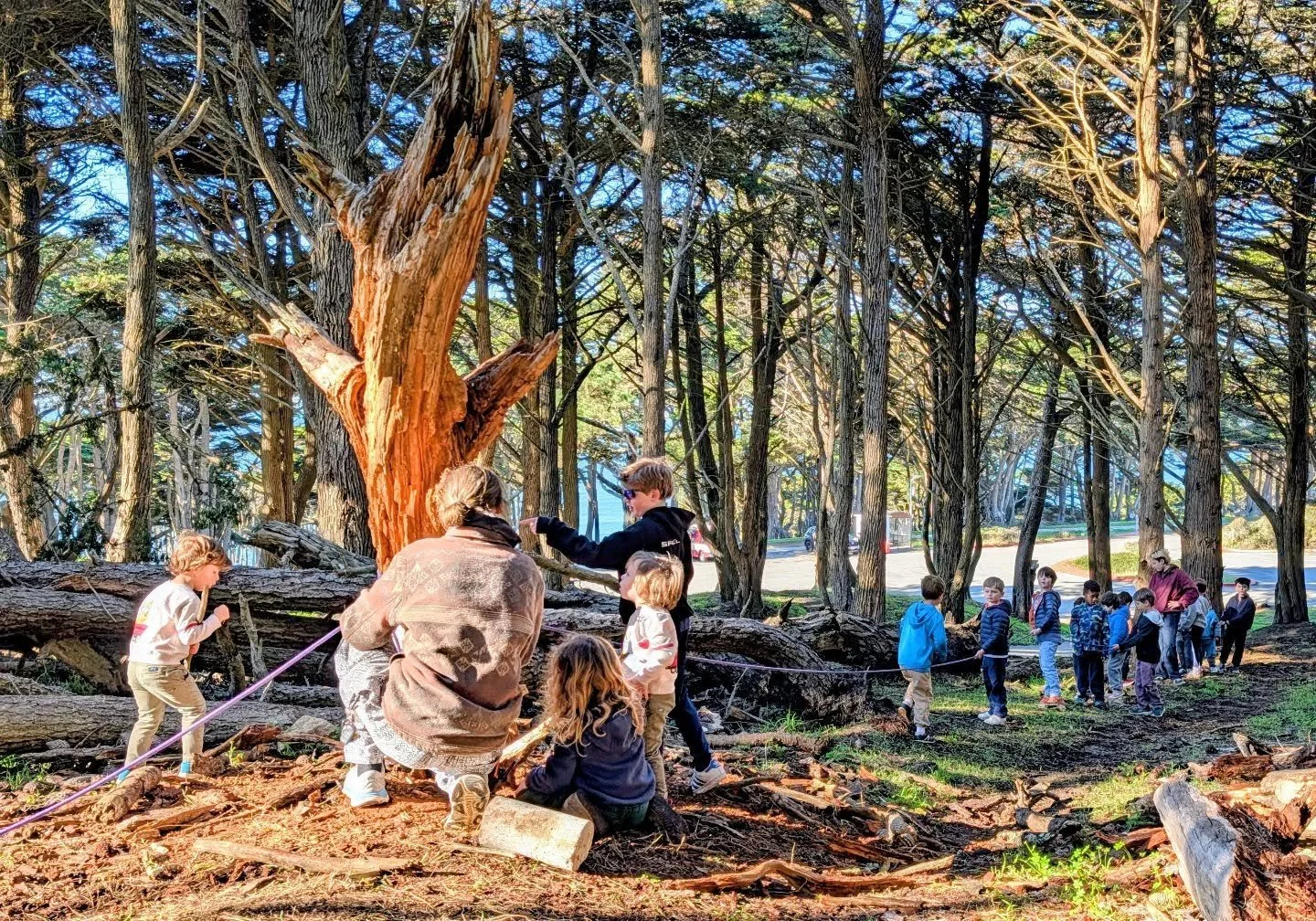 We don't get tired of playing with sticks, and we're ready for 2026!!! 🪾🌲🌳🍁🌴🐿️