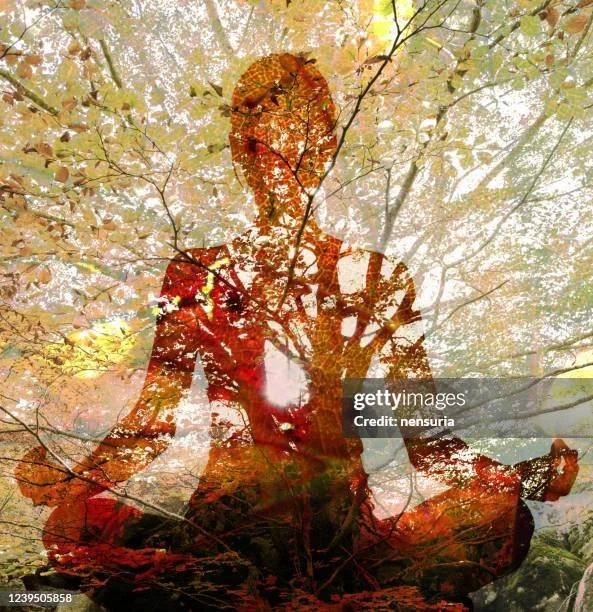 The art and science of activating your Long-Haul energy engine.