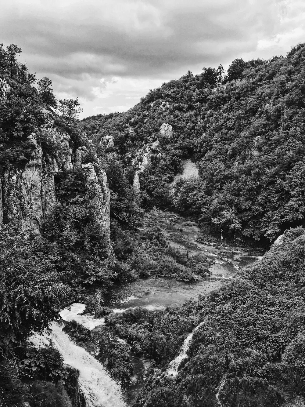 Copy of 181F817B-BA84-4445-8595-B44B74291FCE.jpg