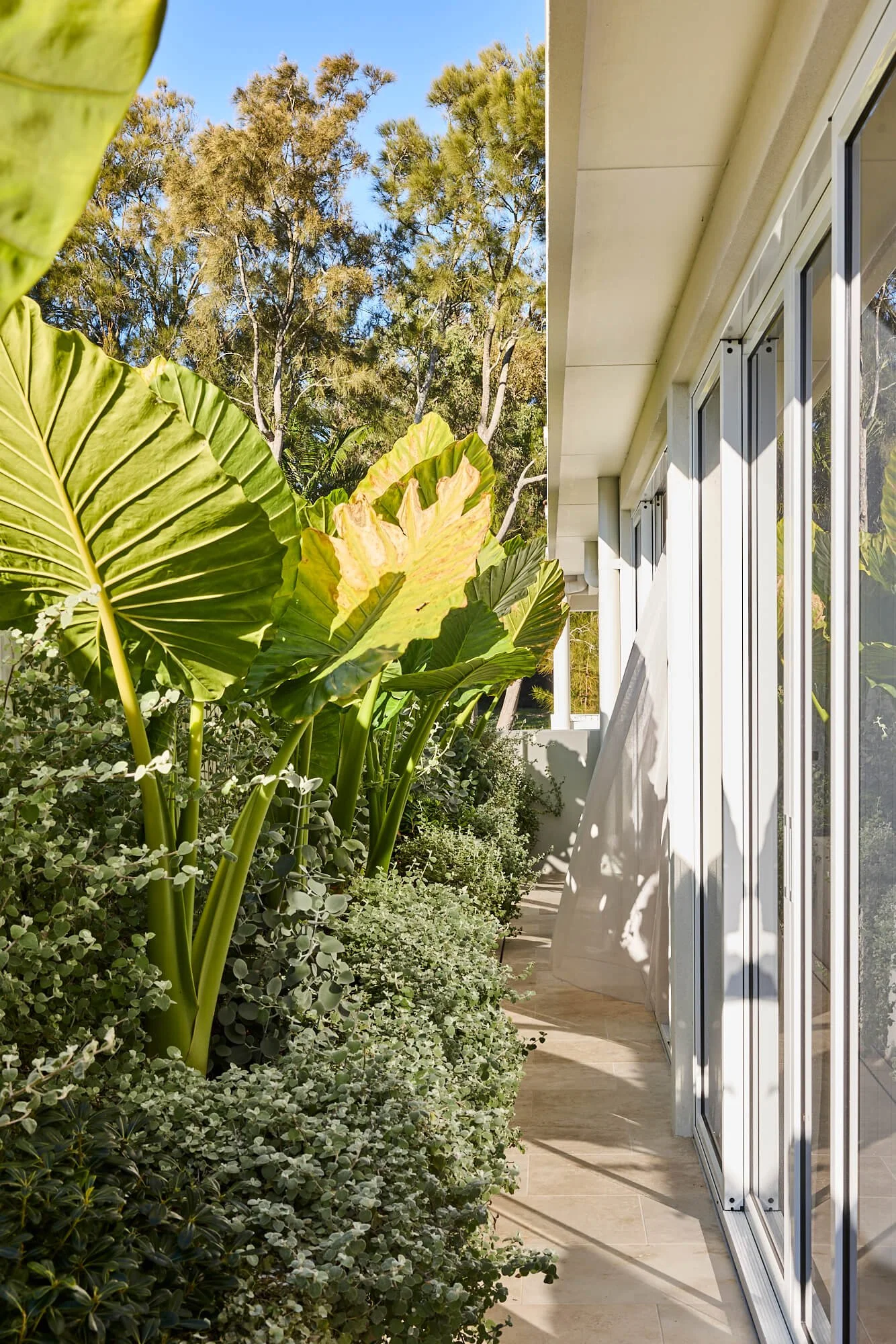 stony-creek-collaroy-landscaping.jpg