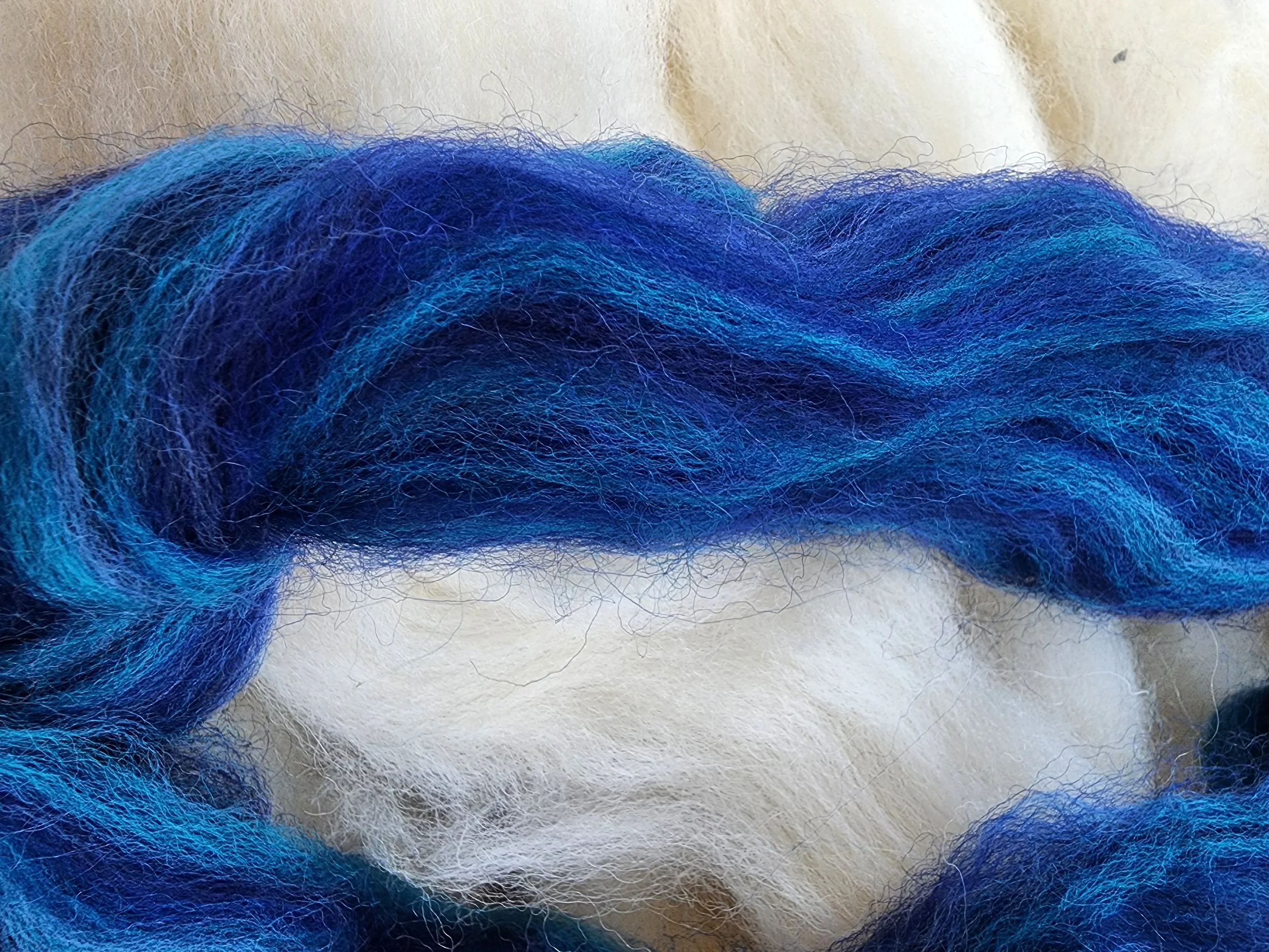 20260521_162416.jpg