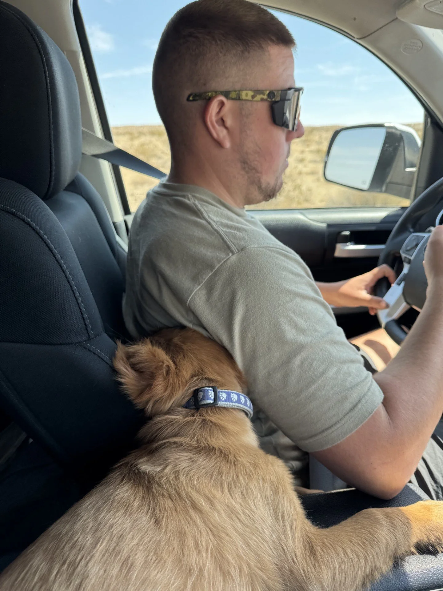 A man with short hair, wearing sunglasses and a gray T-shirt, is sitting in the driver's seat of a vehicle. A small brown puppy with a black collar is sleeping on the man's lap, leaning against the seat.