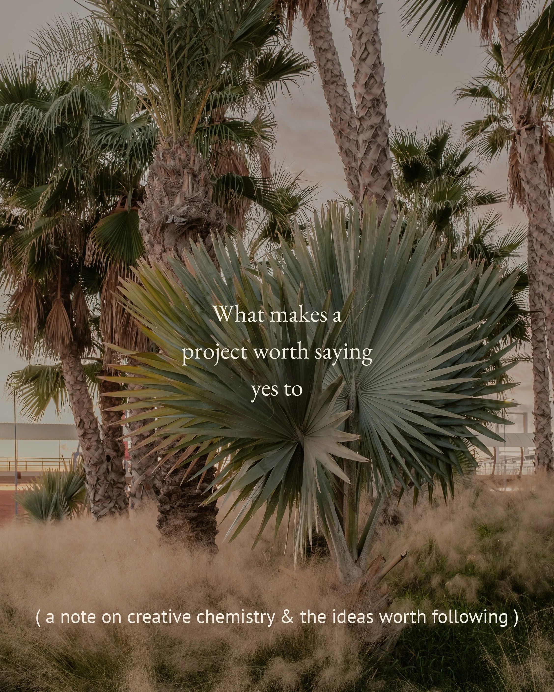 The projects I feel most excited about usually have a few things in common.

There&rsquo;s a founder who cares deeply about what they&rsquo;re building. Enough space to explore ideas properly. And that feeling that the work can become something reall