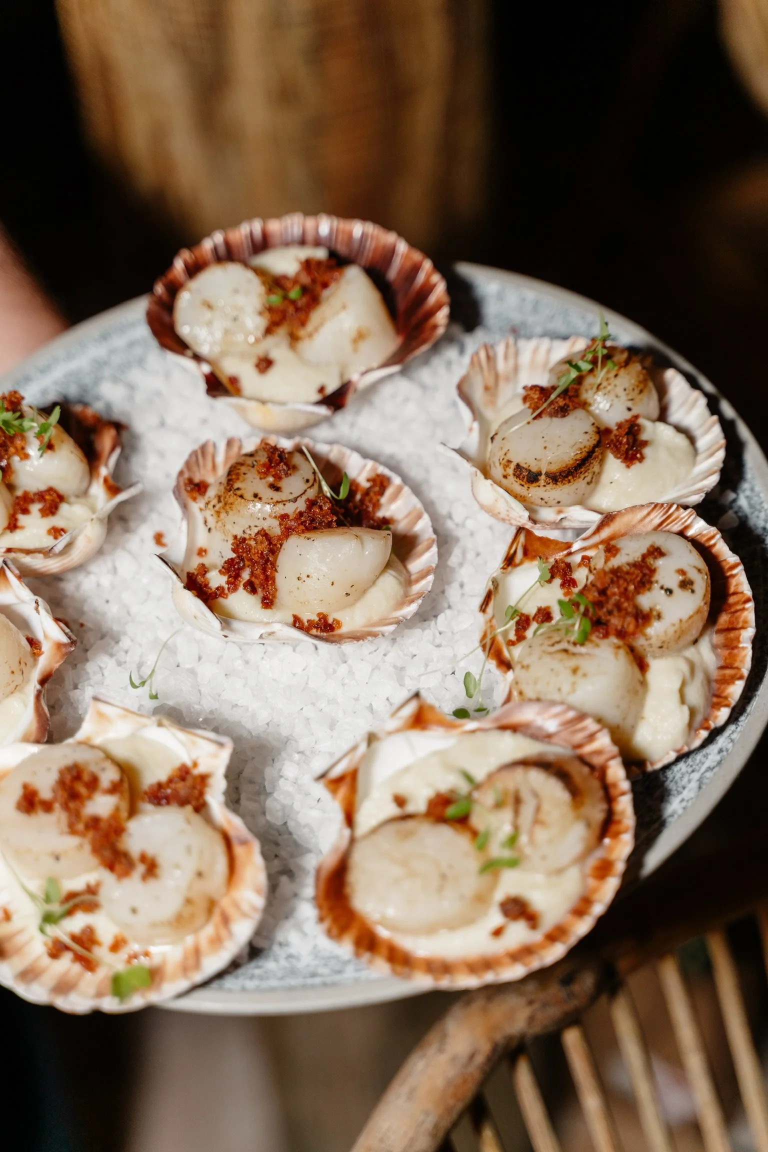 Snails served in shells on a bed of salt, garnished with small herbs.