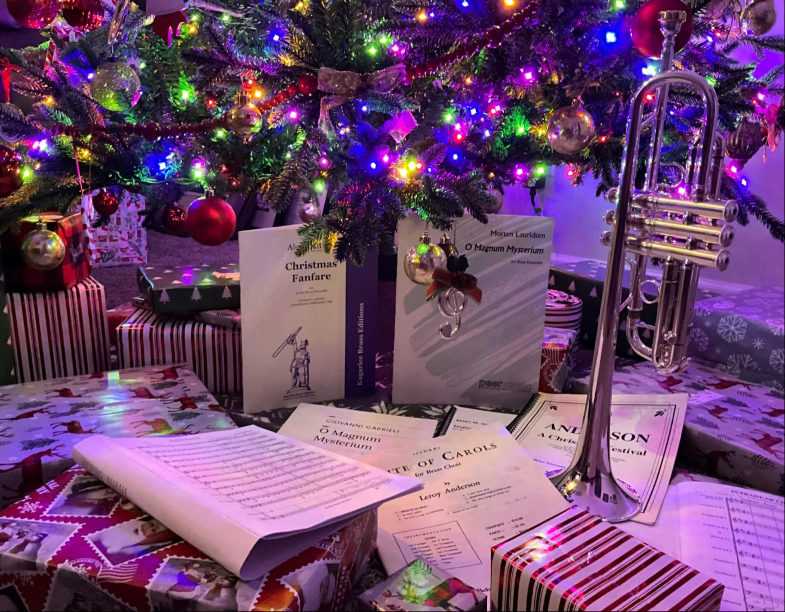 🎶&rdquo;And presents under the tree&rdquo;🎶
MCBE is gifting Nashville with a free concert! Come enjoy some beautiful and unique holiday music this Sunday, December 21st, 2:00 pm at Brentwood United Methodist Church: 309 Franklin Road, Brentwood, TN