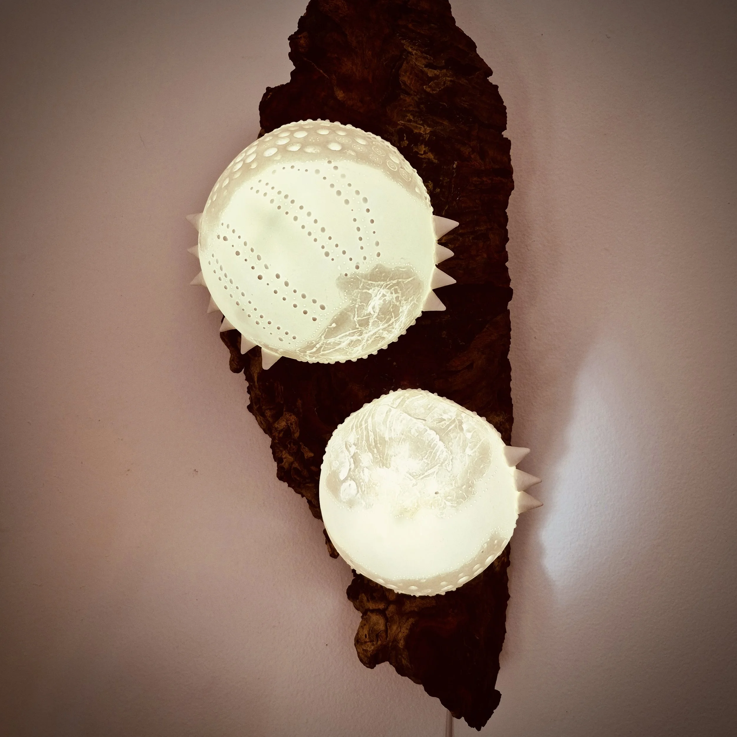 Microcosmos - Duo, Ceramic art light