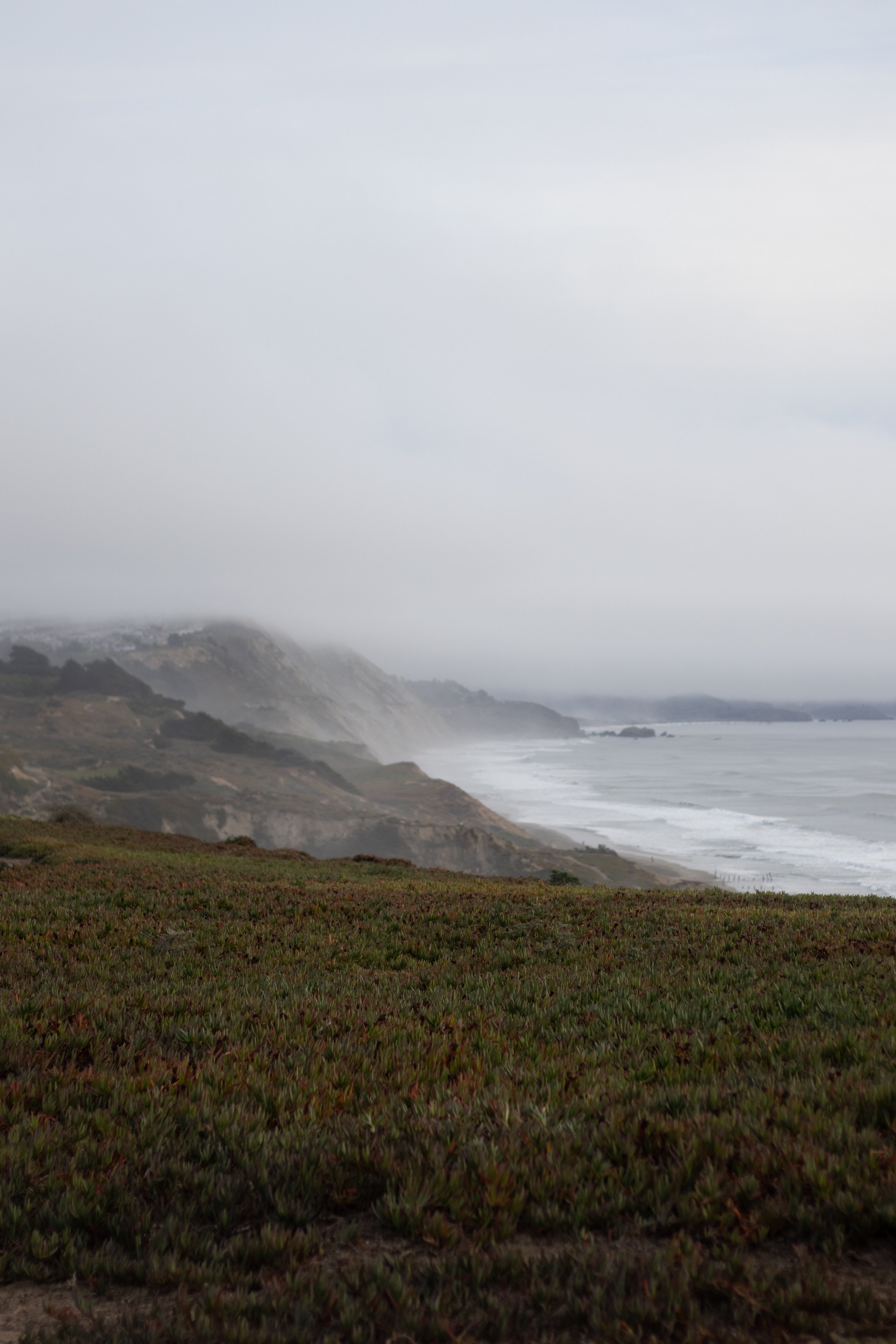 _MG_0393.jpg