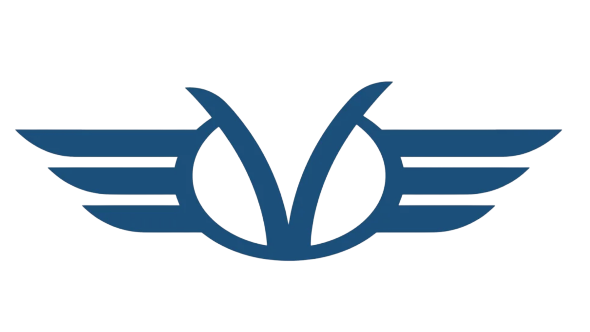 Airline Conceptual branding