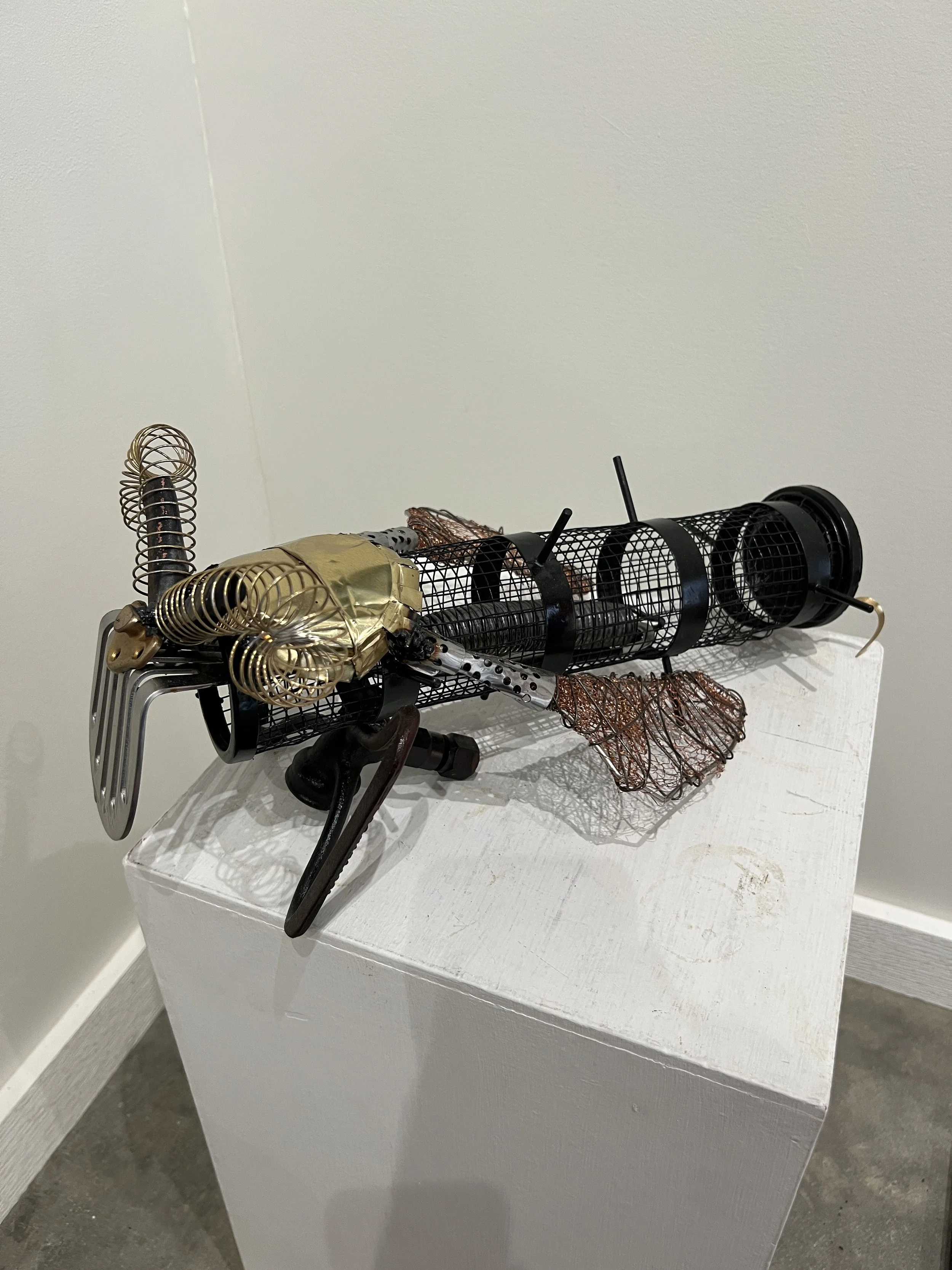 Grasshopper by Georgia Norton