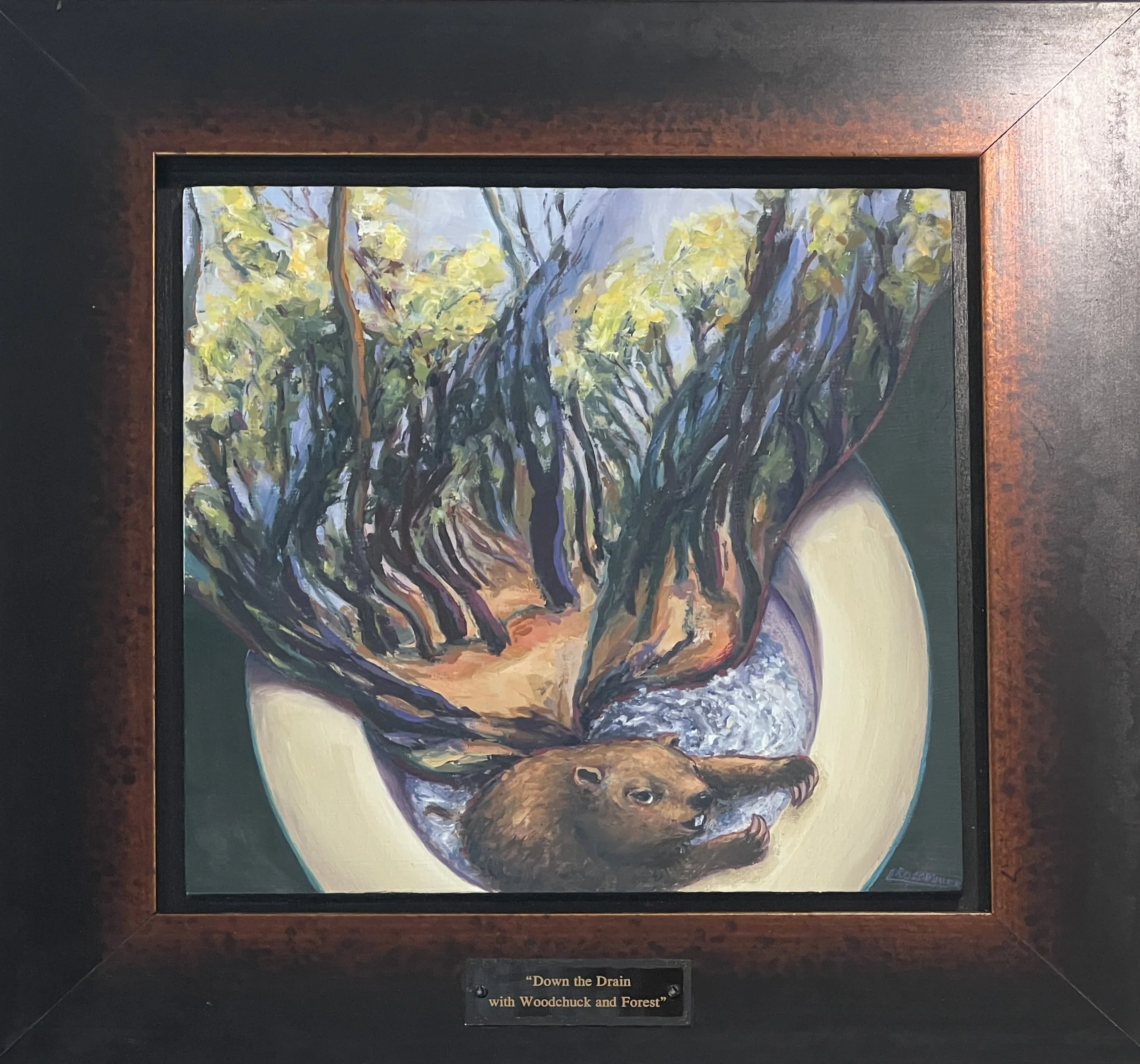 Down the Drain with Woodchuck and Forest by Lisa Ross Miller
