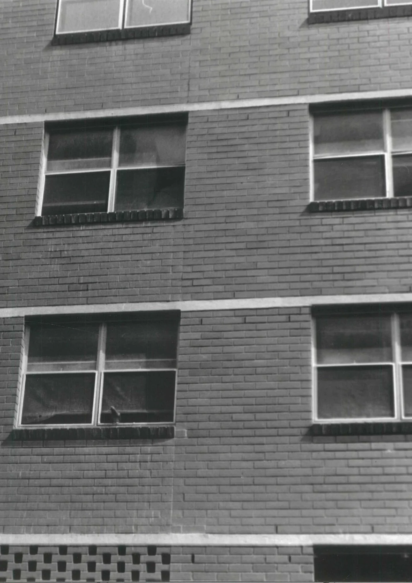 scan_slanthony_2025-05-24-16-27-04 (2).jpg