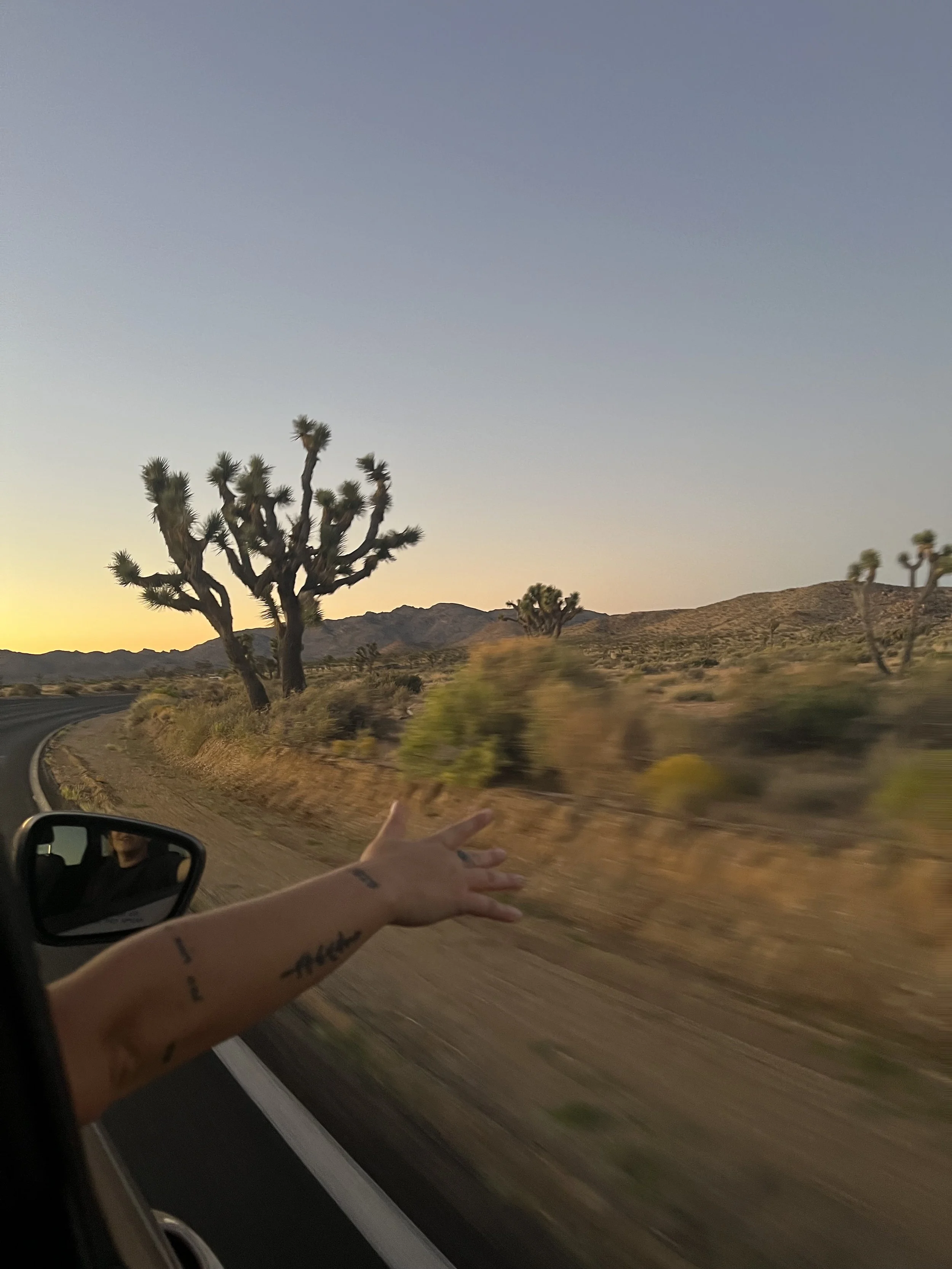 A person in a car reaching out their hand towards the desert landscape with Joshua trees, mountains, and a clear sky at sunset.