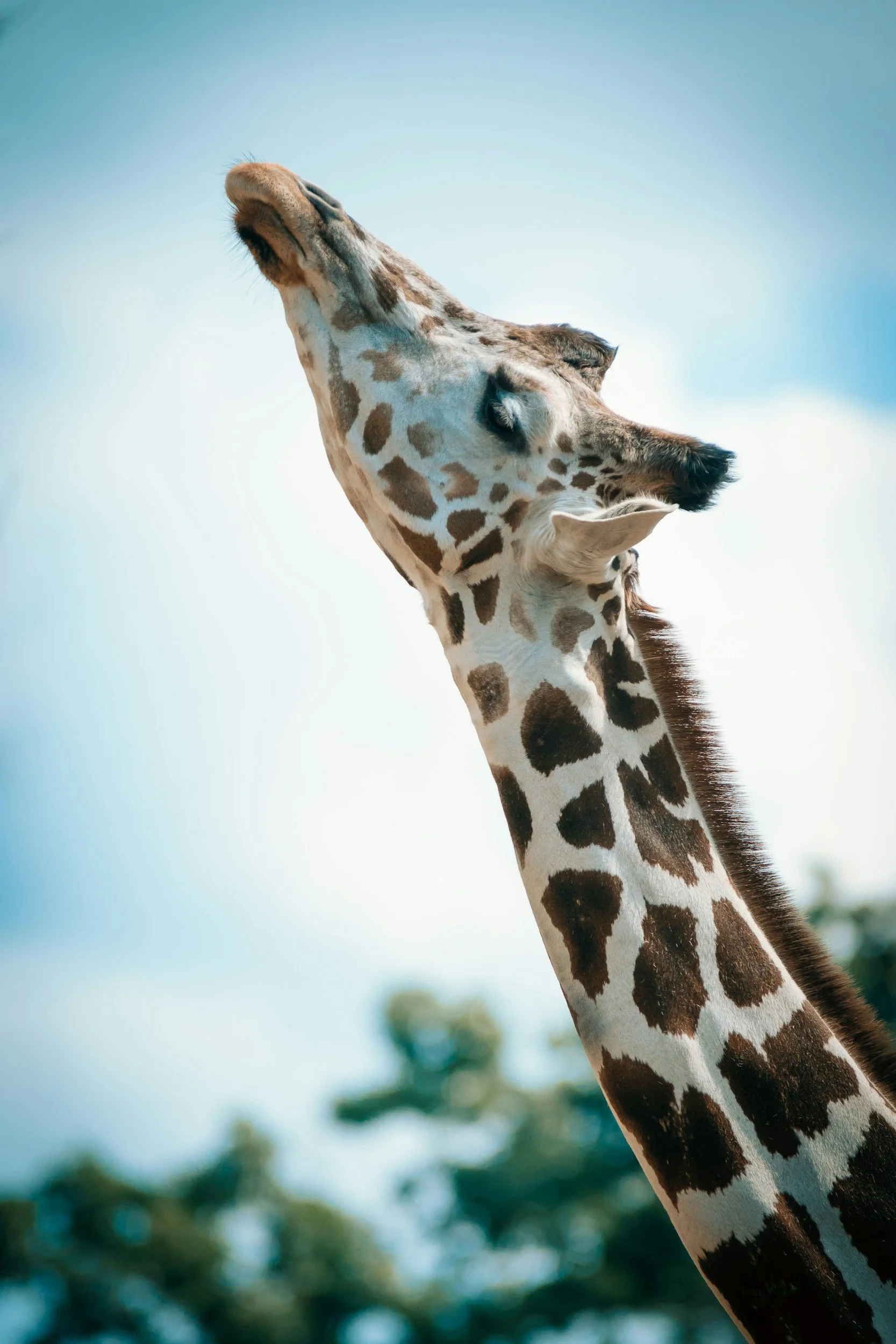 Foundations Training in Nonviolent Communication (NVC)