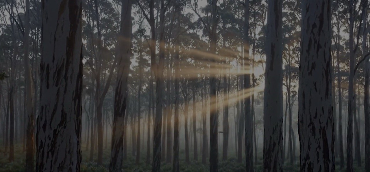 eucalyptus forest beyond ideas of wrongdoing and rightdoing, there is a field. I'll meet you there.jpeg