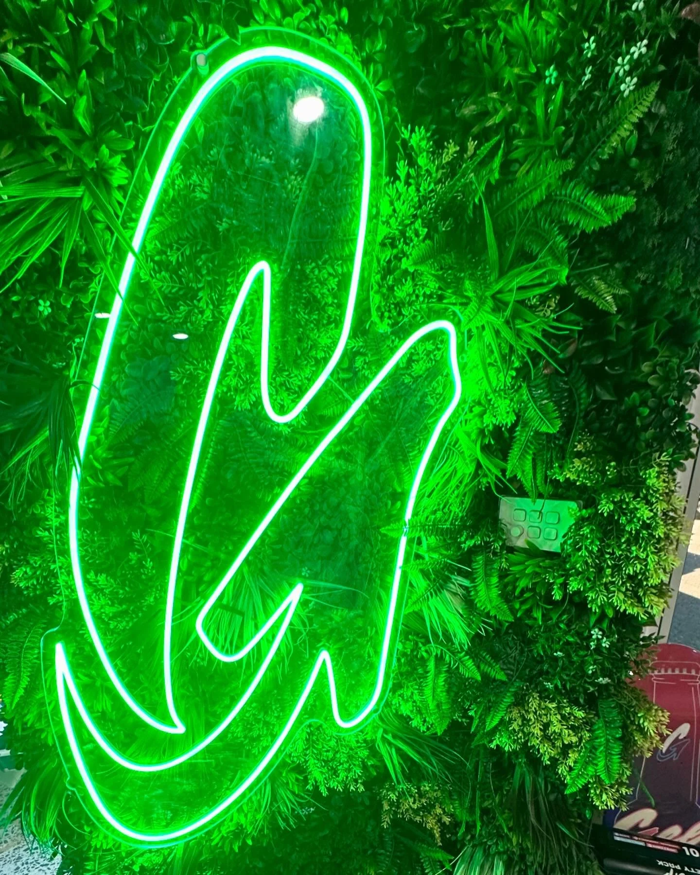 new switch and plug installed to power the GEEUP neon light 🌿🔌