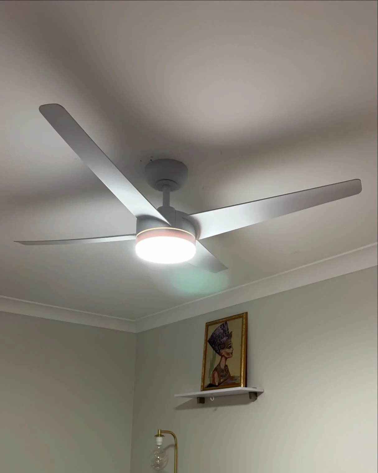 We can take care of your ceiling fan installation, your ceiling fan connection or setting up your ceiling fan with a remote⚡️