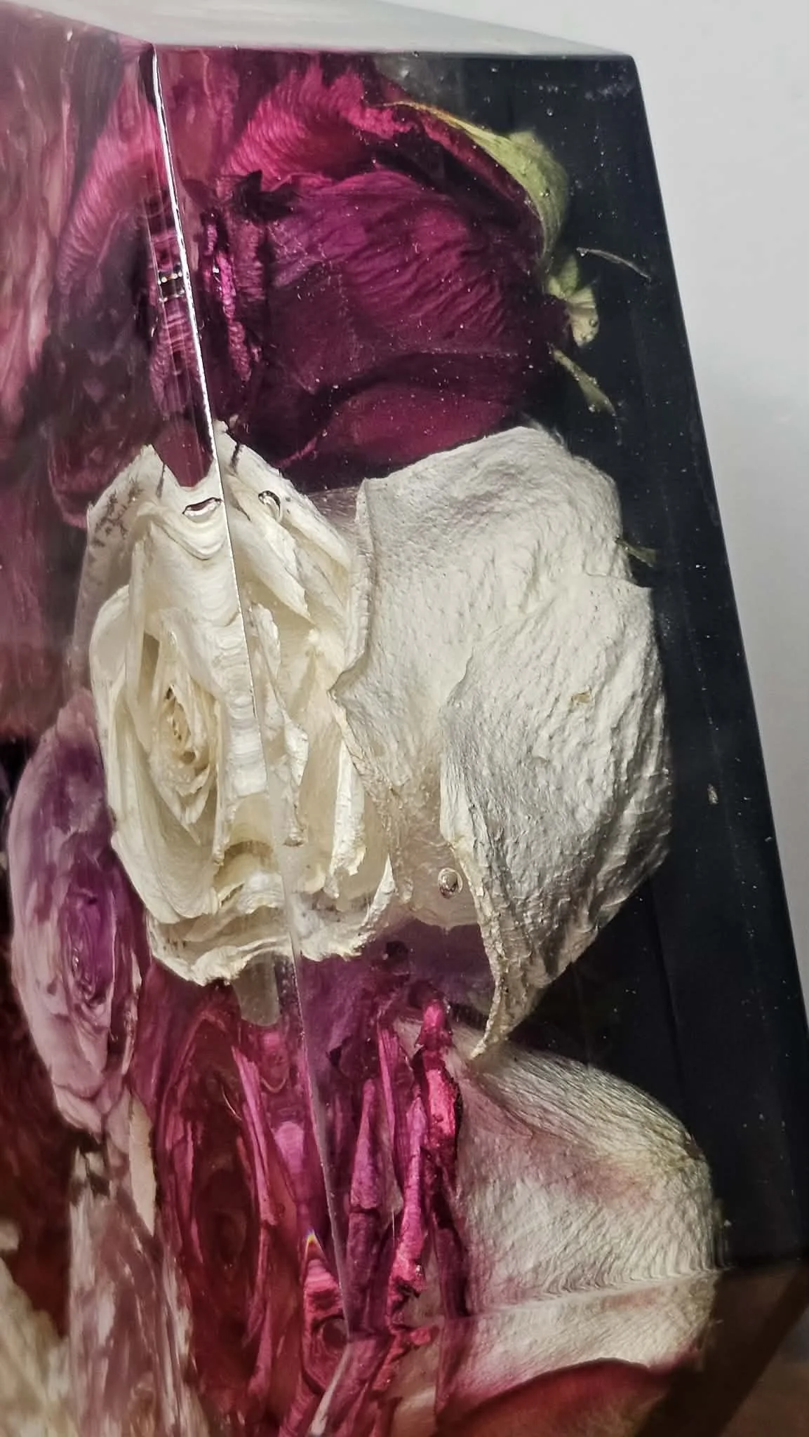 9ac6e61a-8088-4dee-8ae3-da95e58385e9.jfif