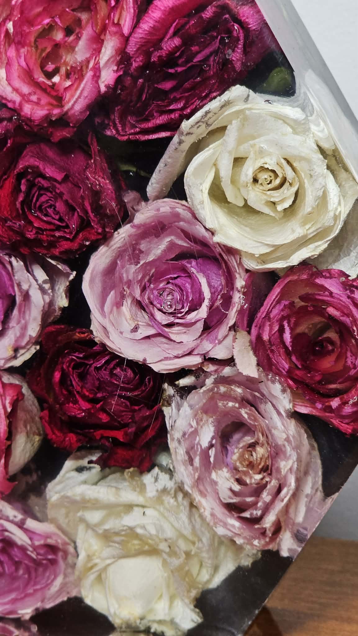 9a5ab724-6229-42cb-835b-ab7b1fbfc5d5.jfif