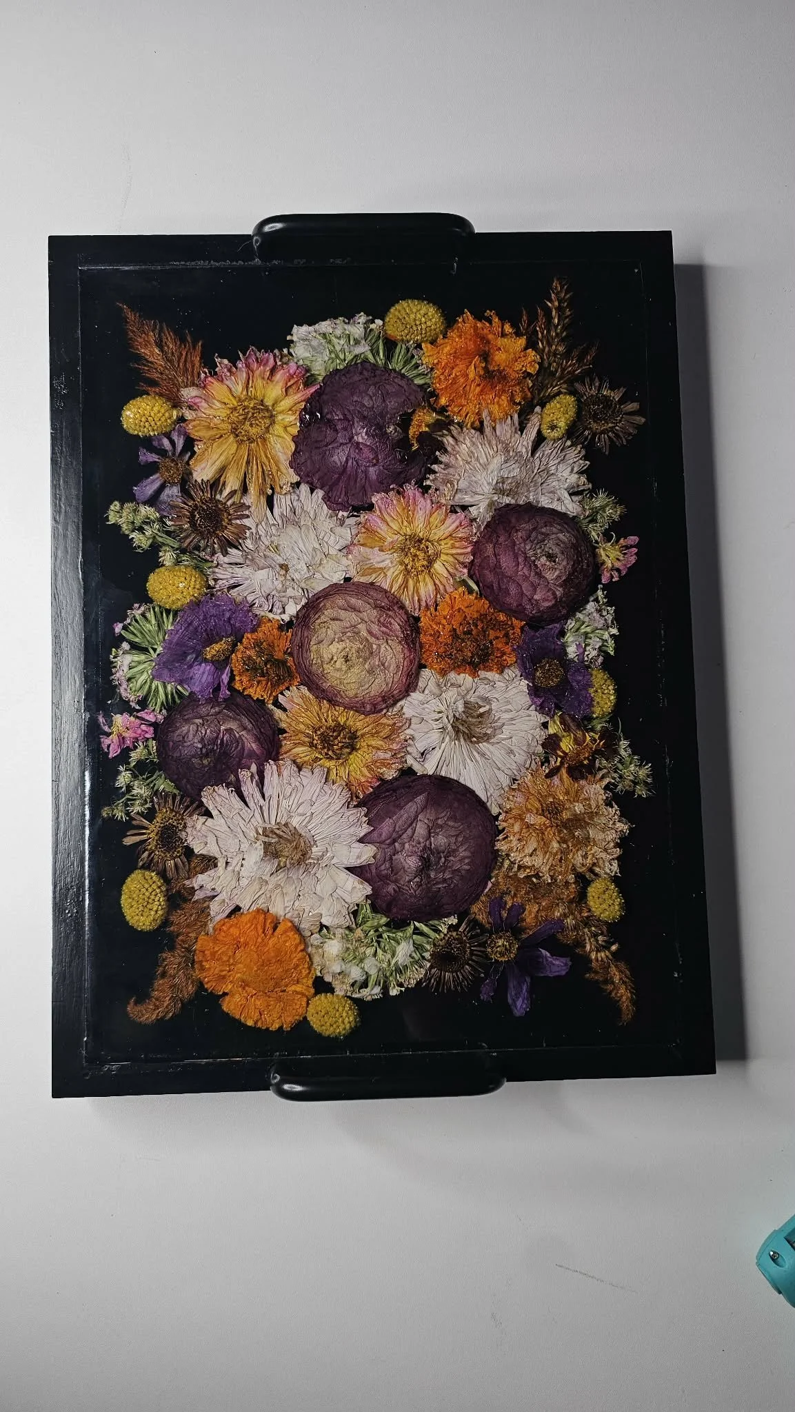 92ae368f-8d49-47a1-9ef5-4d5f9380343e.jfif