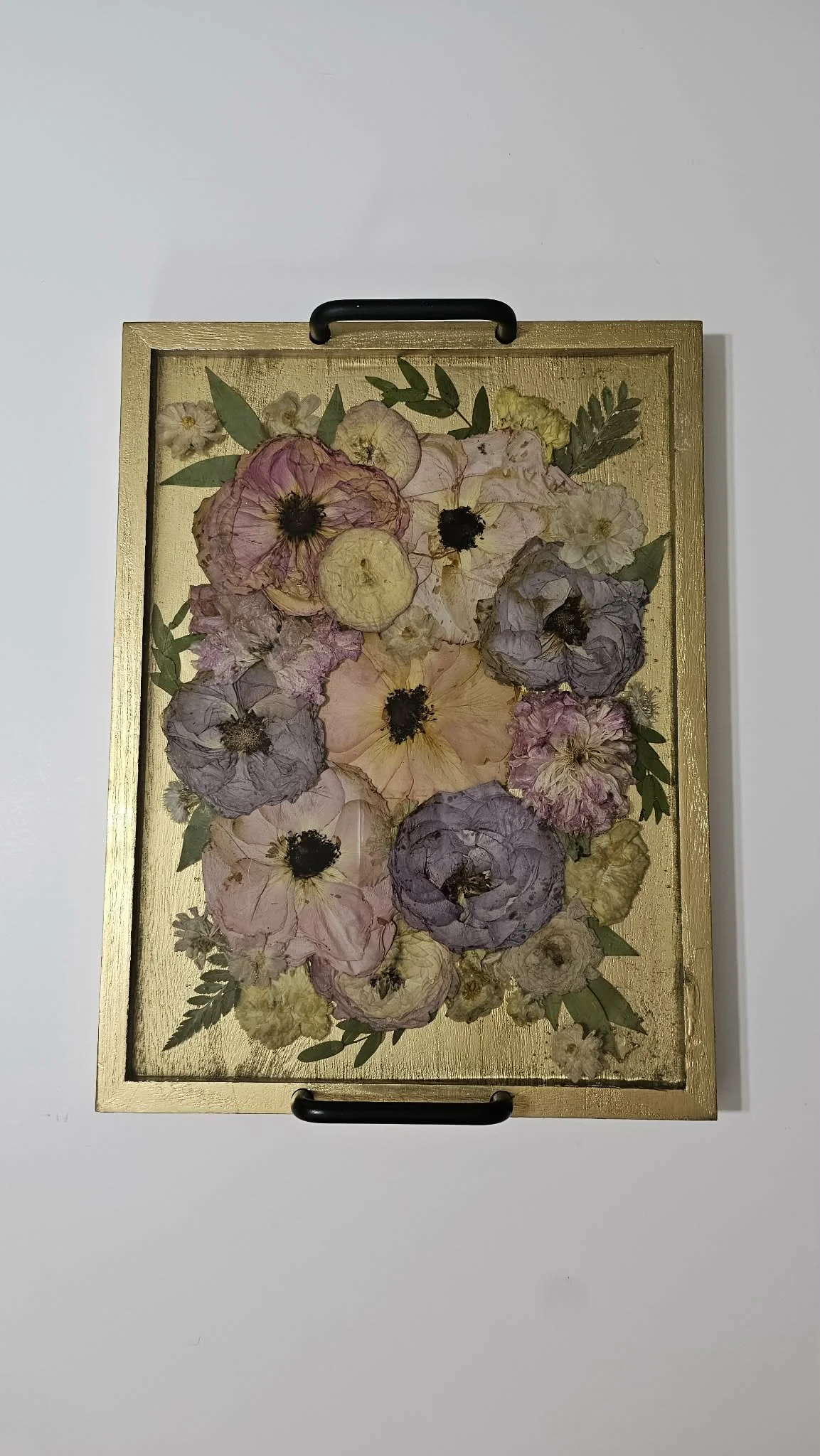 8e99df21-f3cf-4a81-a8ec-676ebbff279f.jfif