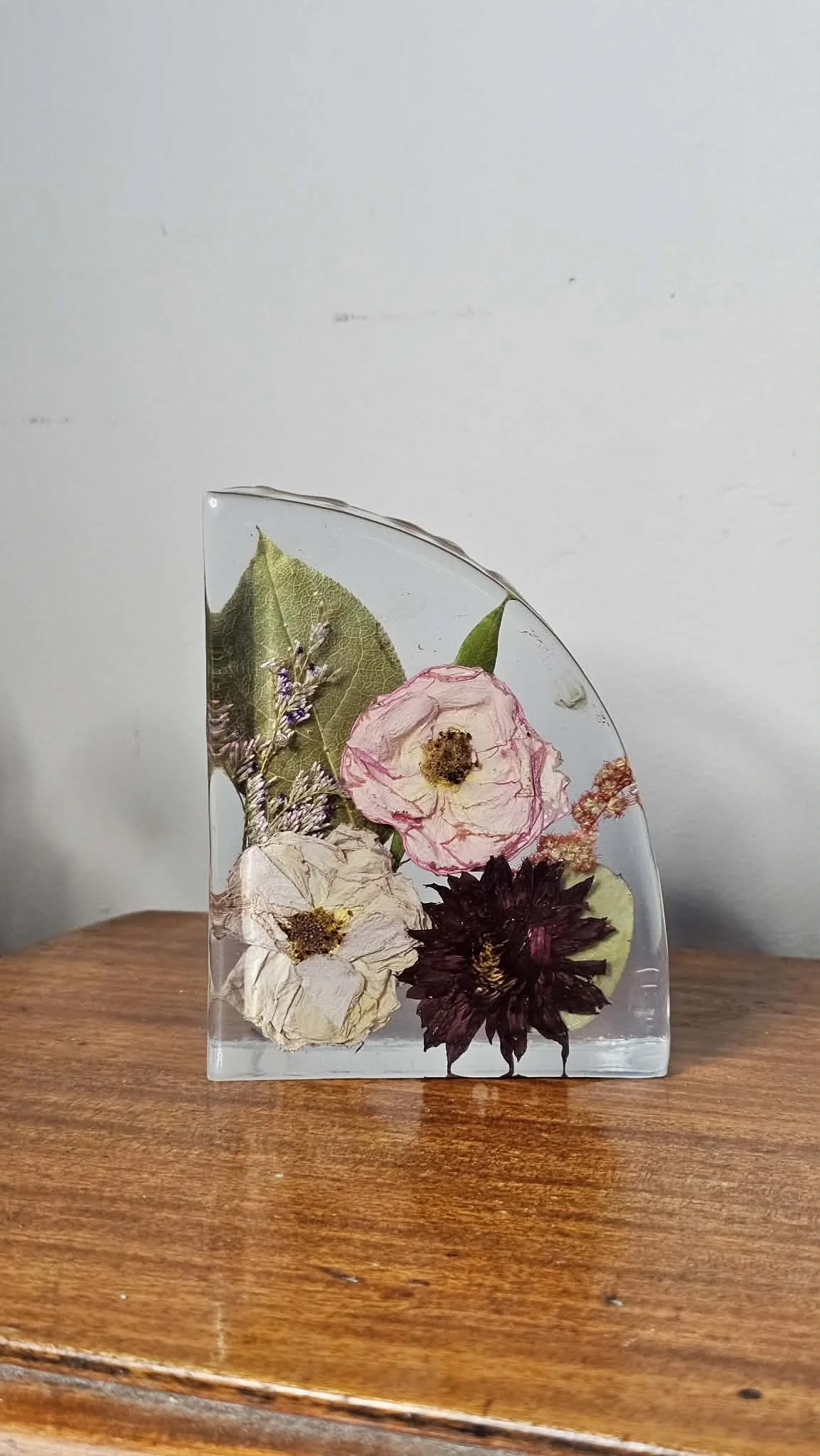 d54636b9-bb67-4220-8fb6-ce4d2b11eb92.jfif