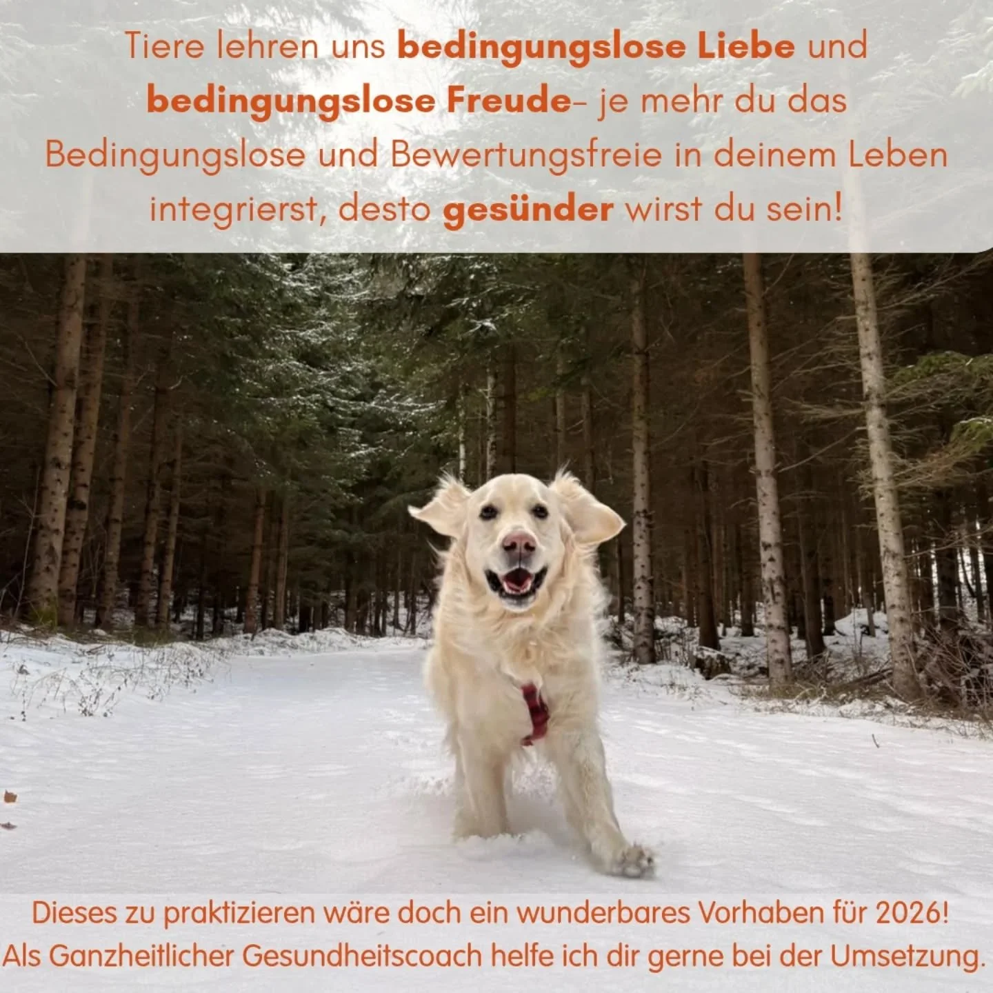So einfach😉- #Vorhaben 2026# -je mehr du das Leben in Bewertungsfreiheit und in bedingungsloser Freude und Liebe leben kannst, desto mehr pflegst du deine innere Ausgeglichenheit und somit deine Gesundheit. 
Das kannst du &uuml;ben und bewusst immer