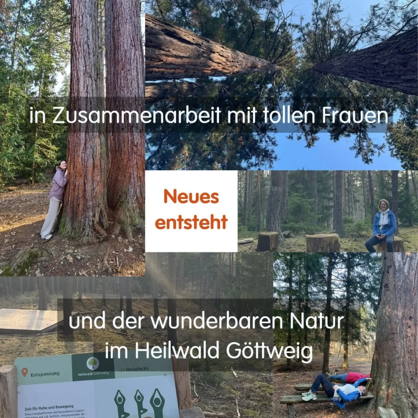 Neues darf sich entwickeln
Mit wunderbaren Frauen
In der wundersch&ouml;nen Natur
Im Heilwald G&ouml;ttweig
Achtsame Bewegung 
K&ouml;rper sp&uuml;ren
In Verbindung gehen 

Bald gibts Infos!