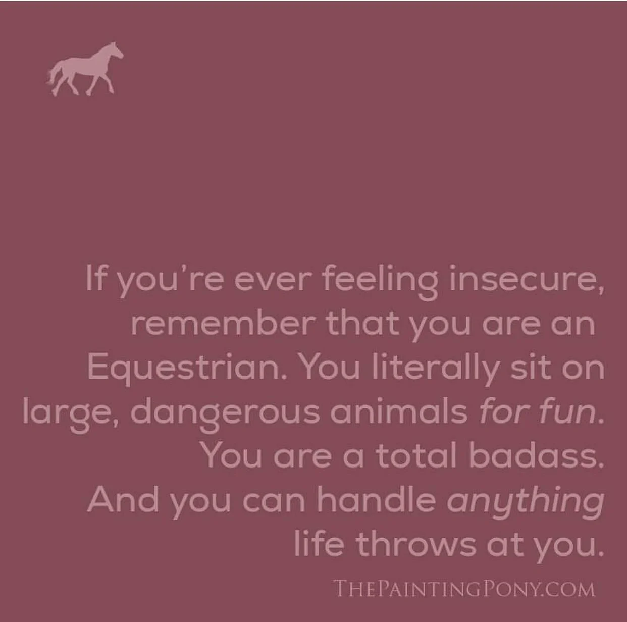 Today lets let go of harsh self-recrimination and happily accept your own identity and uniqueness.
#equinewellness
#summithillfarm #giddyuptaffystravels #loveyourselfandwhoyouare