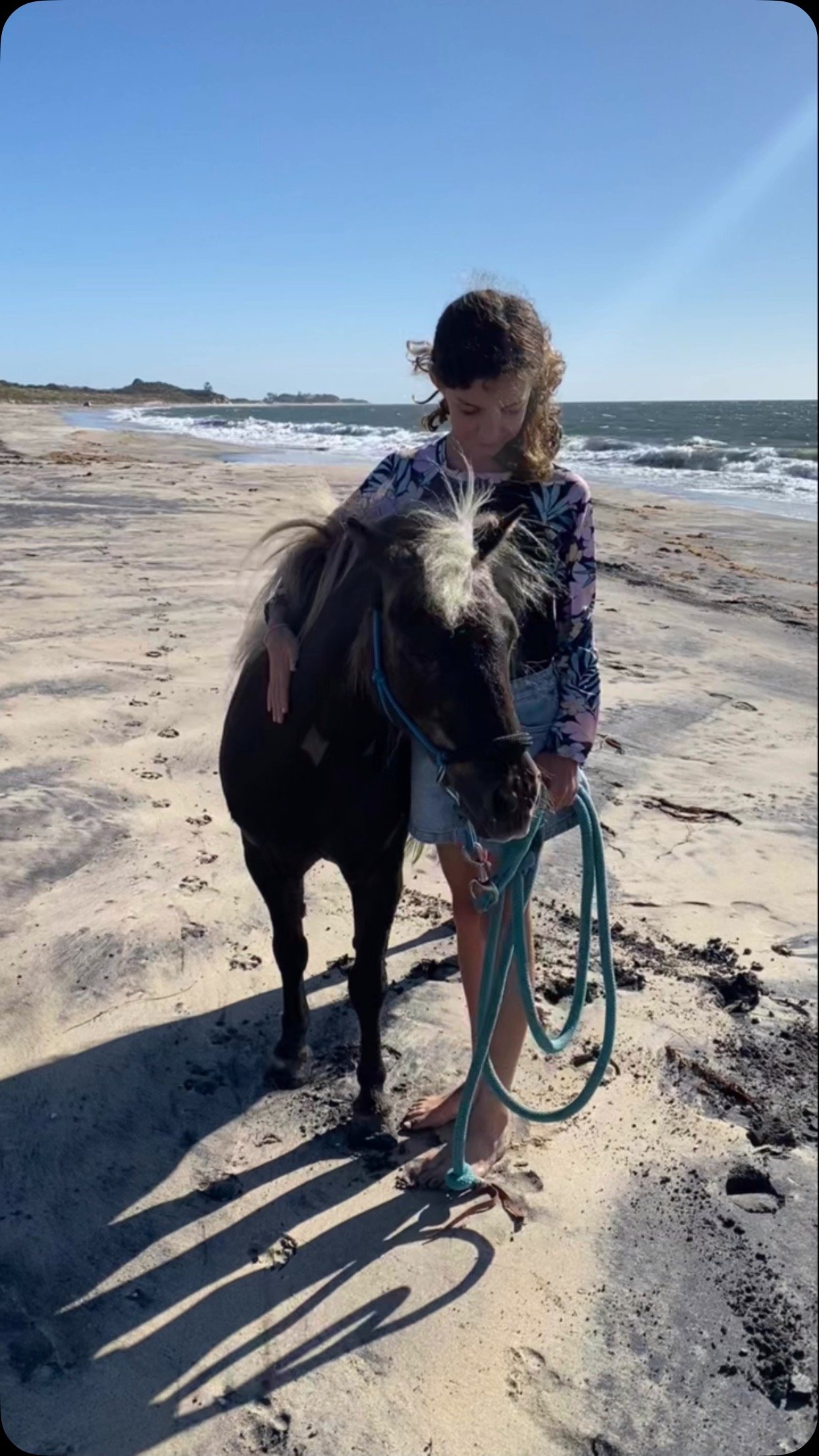 Following up on todays awesome beach visit!