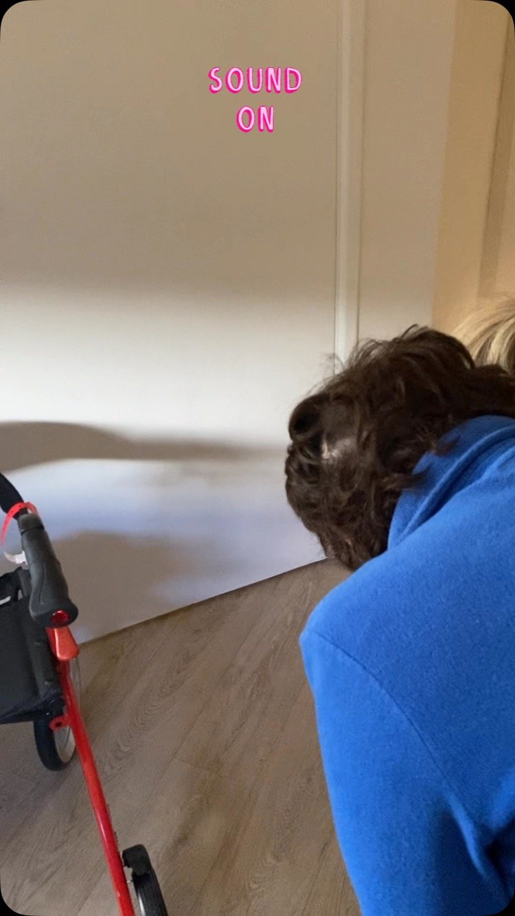 🌸Equine-Assisted Wellness for the Elderly 🌸
Oh Bron and Taffy you near made me cry AGAIN… Bron has built such a relationship with Taffy over the past few years of visiting! She ALWAYS looks forward to his visits and Taffy is so comfortable