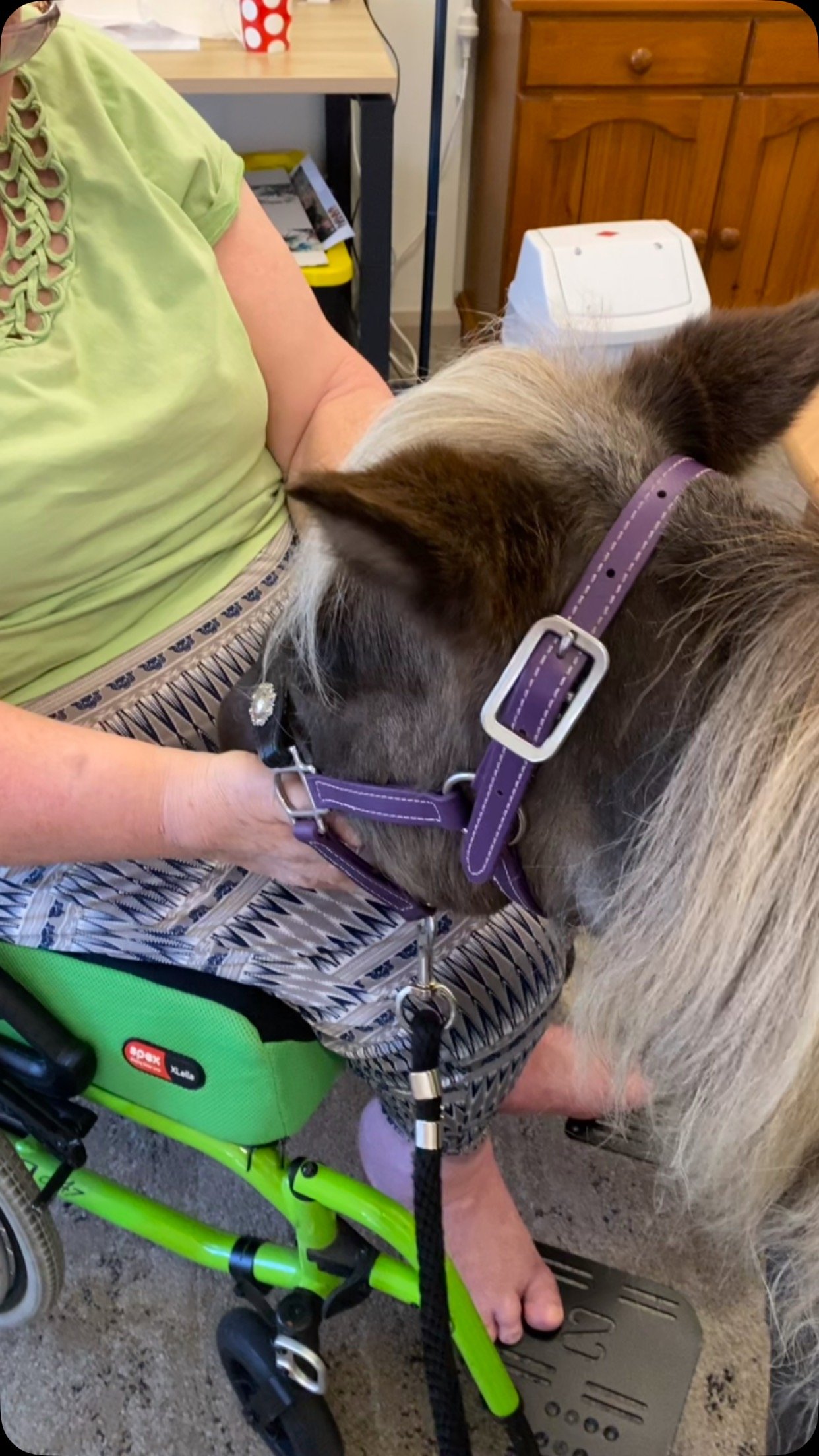 Did you know that spending time with horses can provide incredible benefits for elderly individuals? 🐴💛
✨ Emotional Well-being – Reduces stress, boosts mood, and combats loneliness.
✨ Physical Benefits – Improves mobility, balance, and