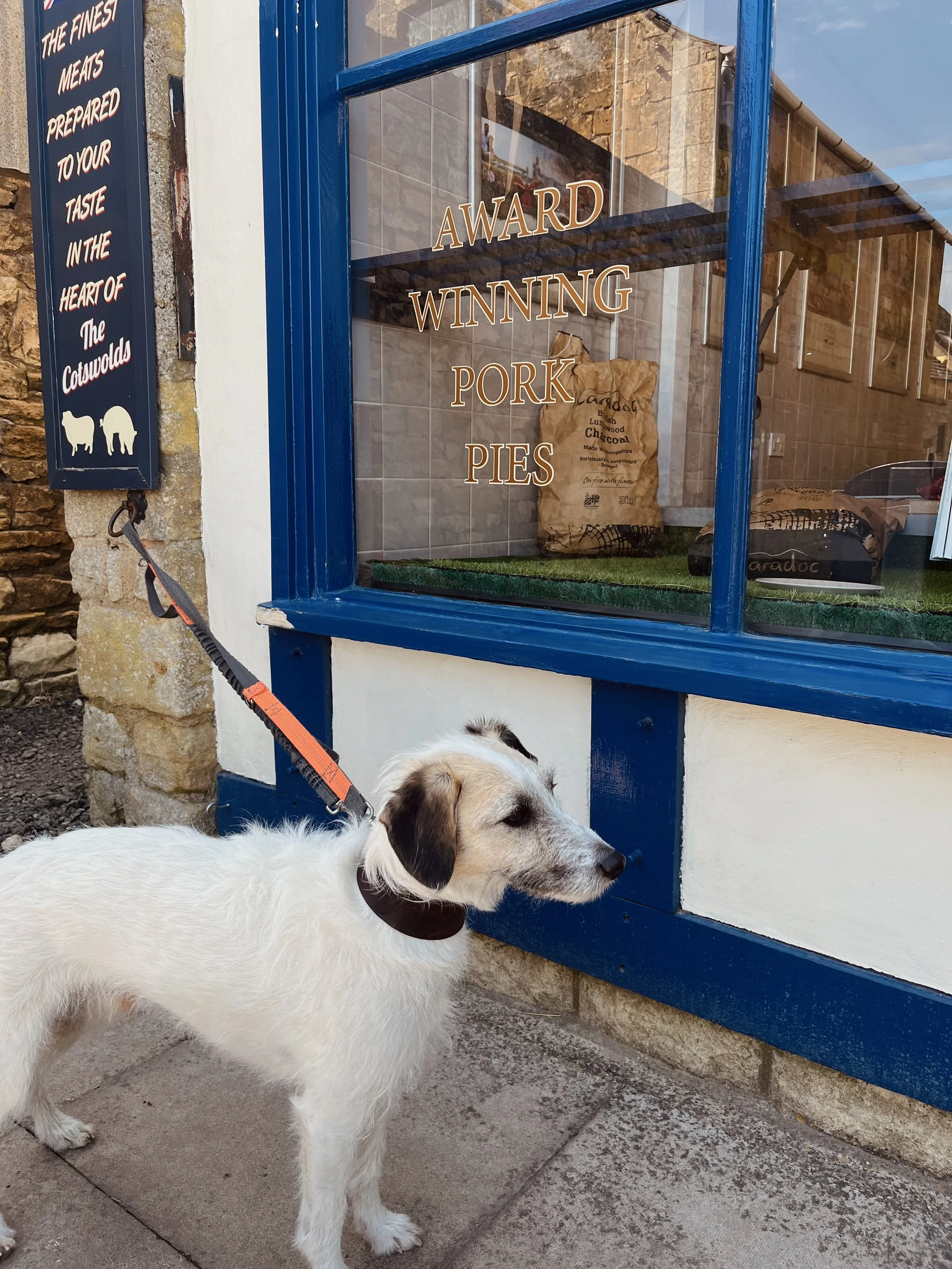 Dog-Friendly Cotswolds