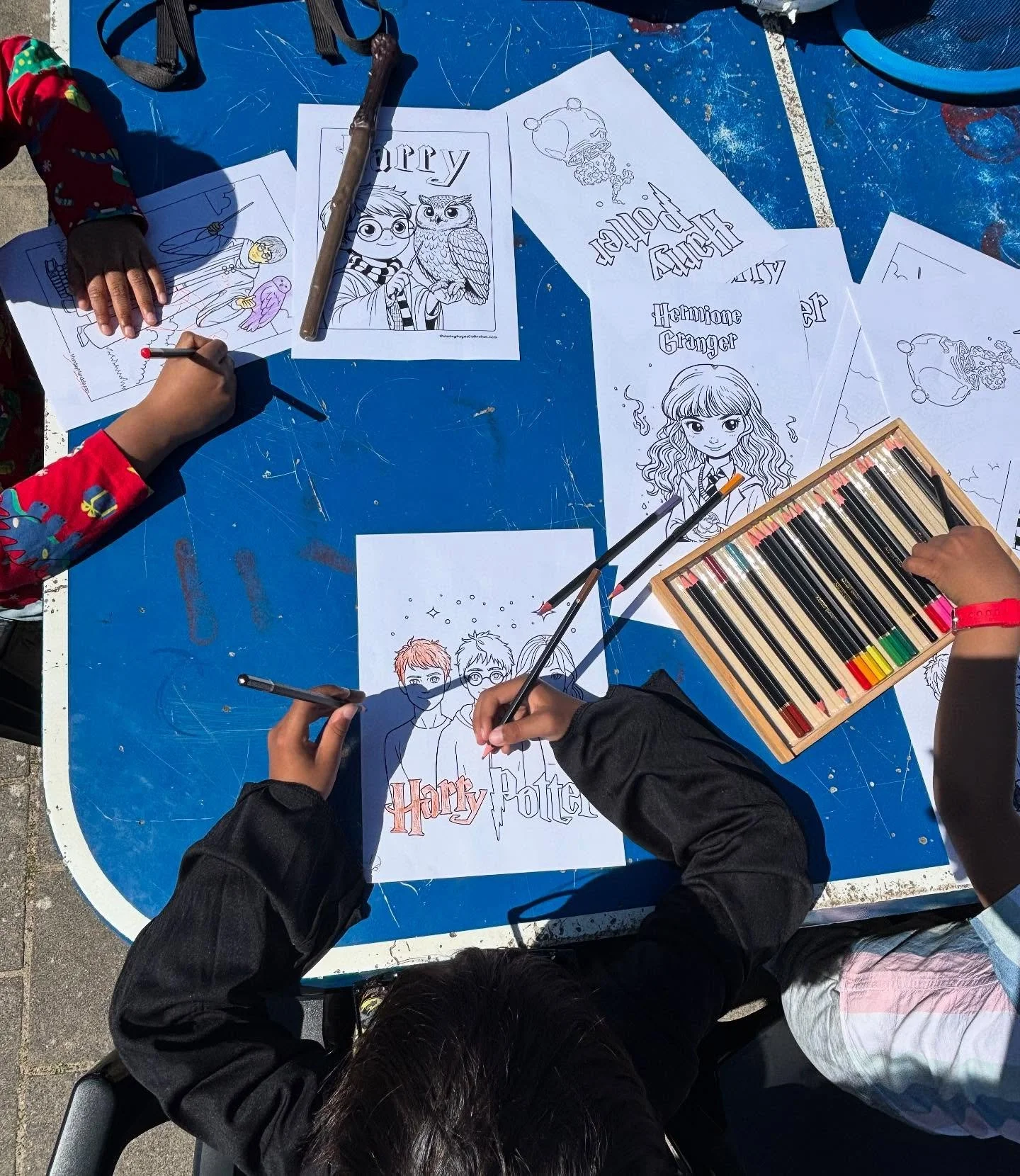 🖍️🎨