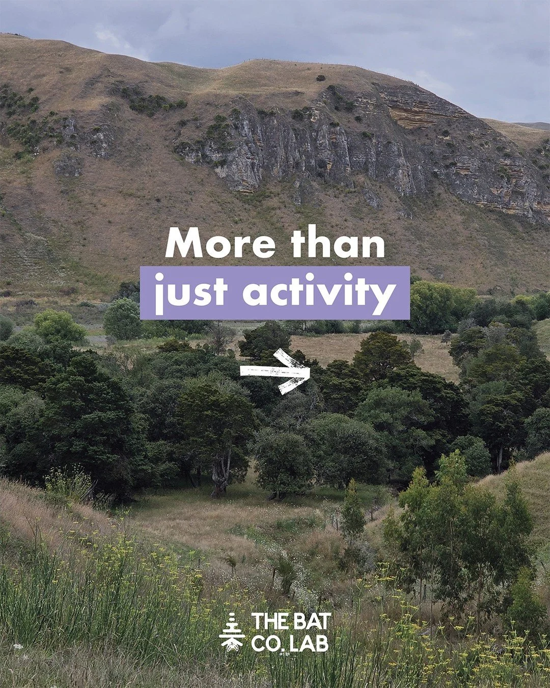 The raw numbers tell us when bats are calling. Feeding buzzes help tell us what they're actually doing. A feeding buzz is the rapid burst of calls a bat makes as it locks onto an insect. 

At Eastern, they make up just 2.9% of calls in the hour after