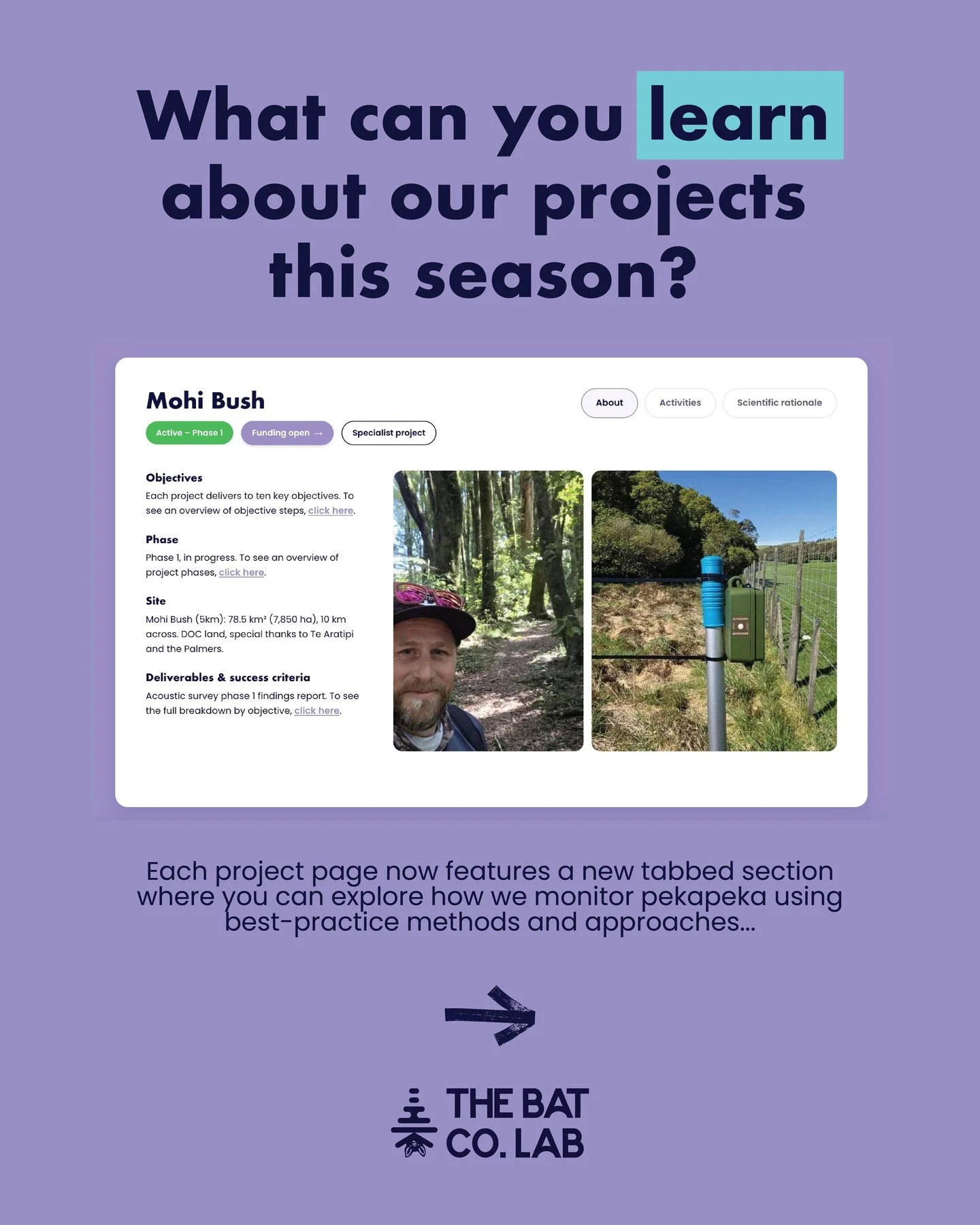We&rsquo;ve been busy behind the scenes at The Bat Co. Lab. Our project pages have had an upgrade, giving you a deeper look into what happens behind each of our bat monitoring projects, from the objectives and project phases to the activities we carr