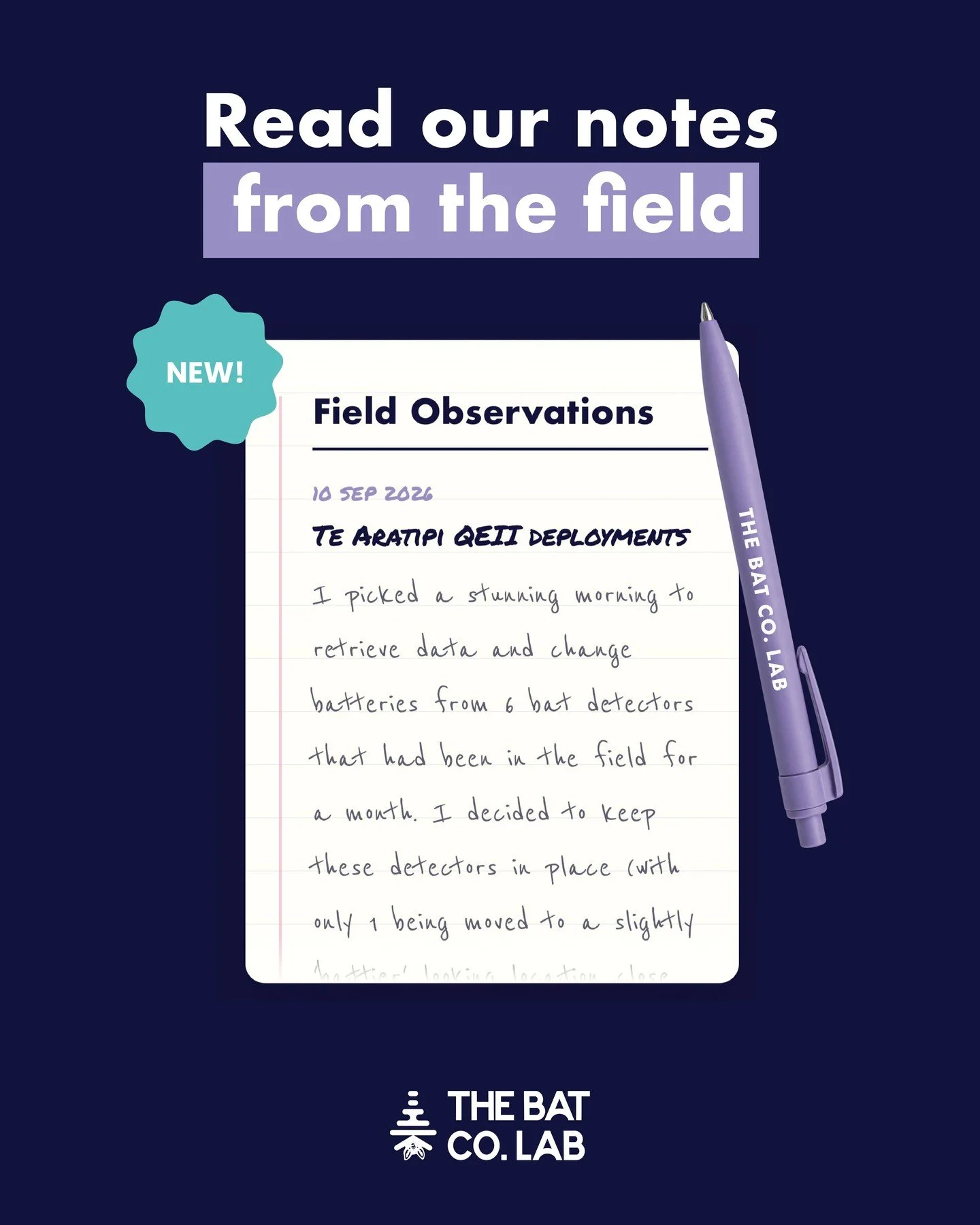 Ever wondered what happens between setting up the detectors and seeing the final results? Our new Field Notes diary gives you a window into the day-to-day reality of monitoring pekapeka, with entries from Mark and other Pekapeka Patrollers documentin