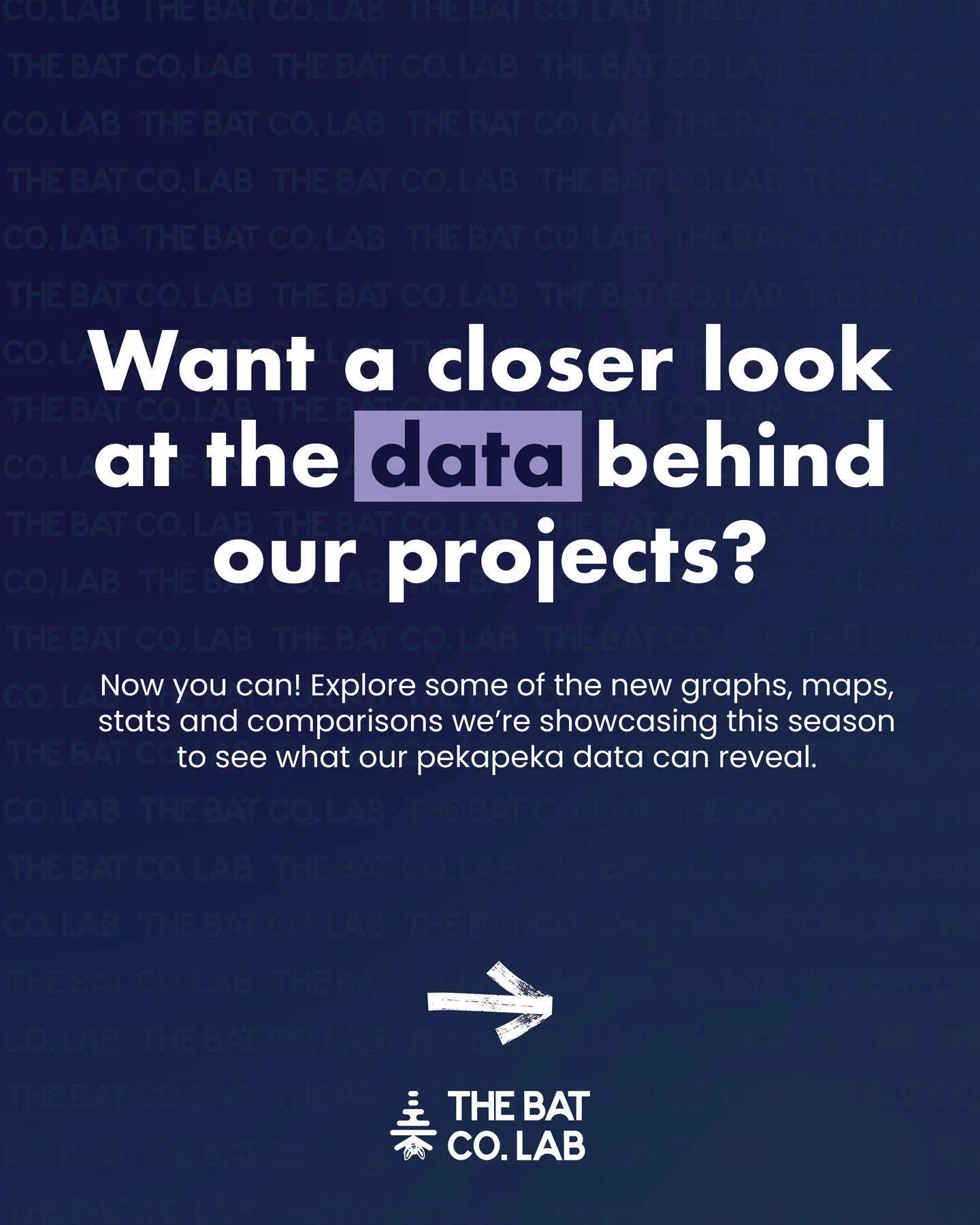 Ever wondered what happens to all the data we collect out in the field?

We&rsquo;ve been adding new graphs, maps and comparisons to our project dashboards to make it easier to explore what we&rsquo;re finding. From tracking bat activity through the 