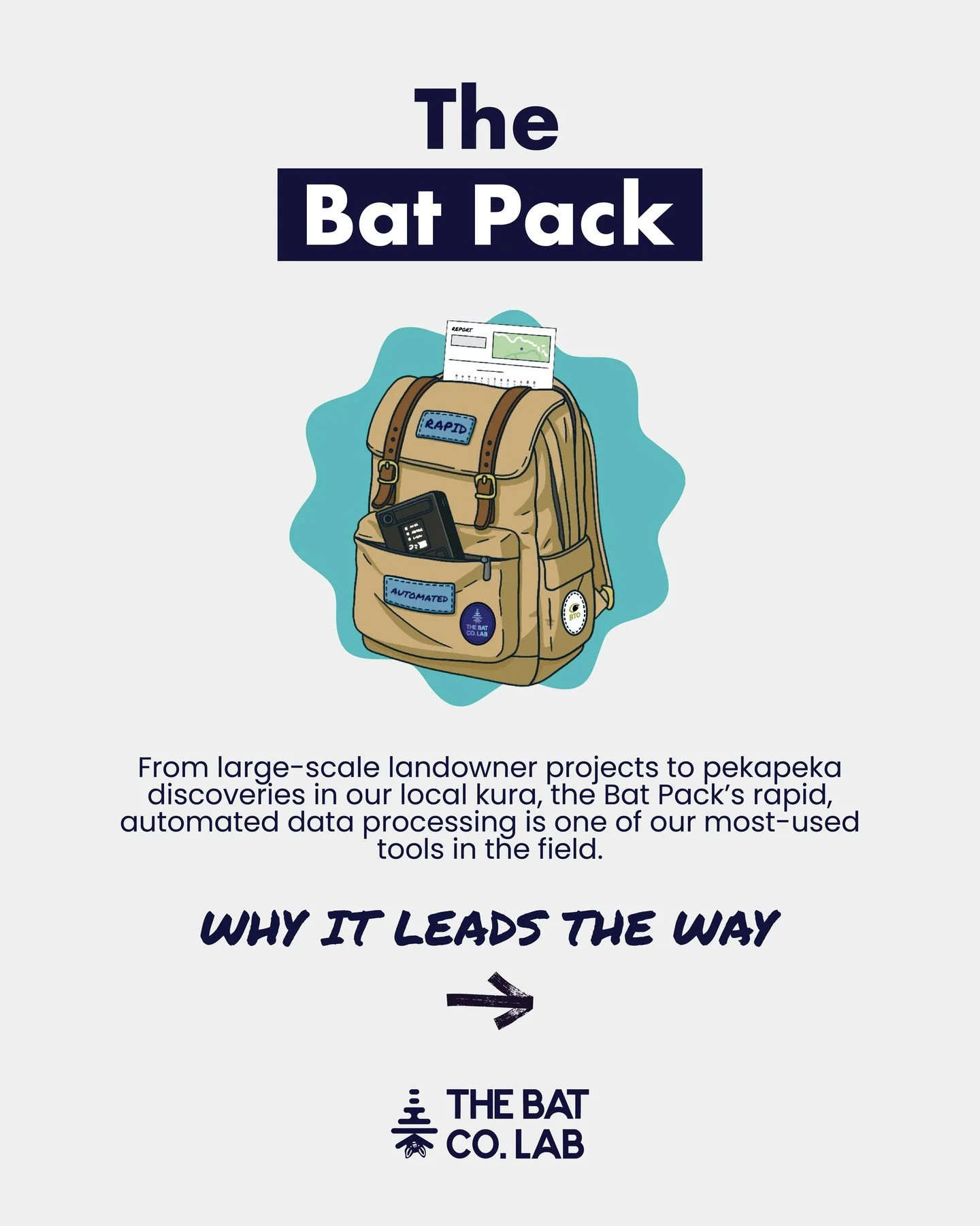 Meet the Bat Pack, a faster way to process bat acoustic data.

The Bat Pack is a subscription that provides access to the BTO Acoustic Pipeline for automated bat acoustic data processing. It analyses full-spectrum recordings directly and delivers aut