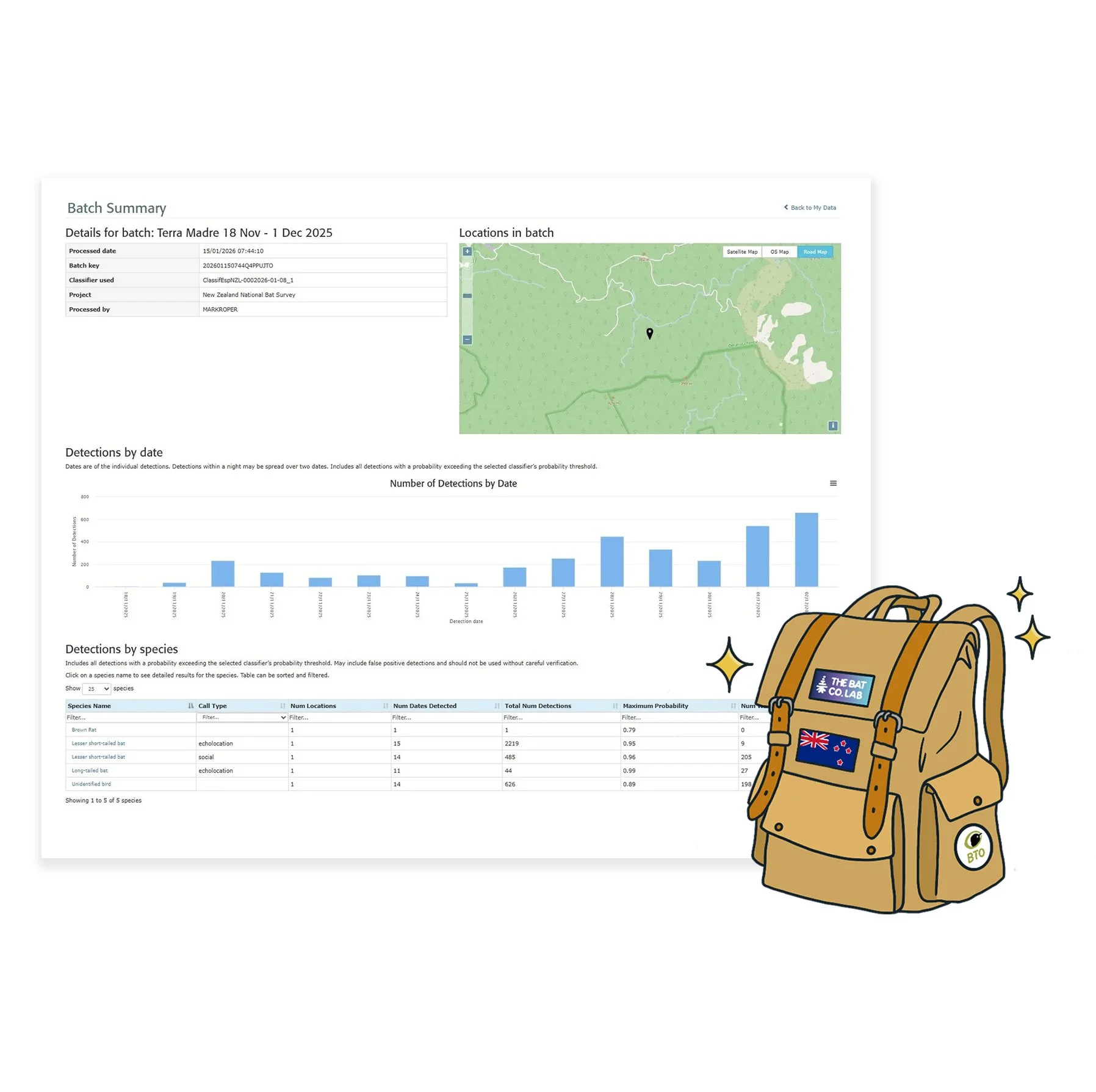Bat Pack Data Processing square 2.jpg